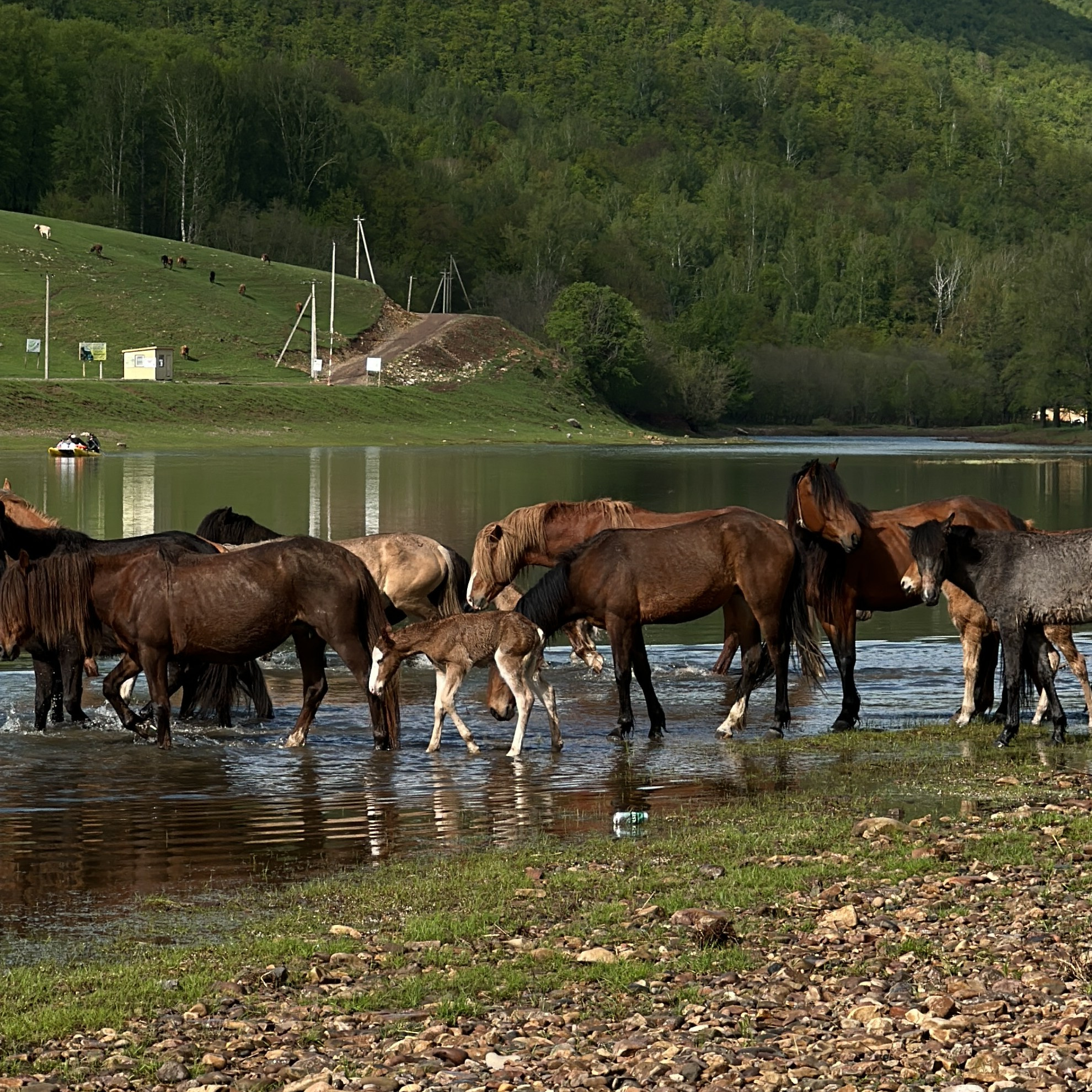 Корпоративный выезд. Студия рекламной и предметной съемки товаров WELKO Studio