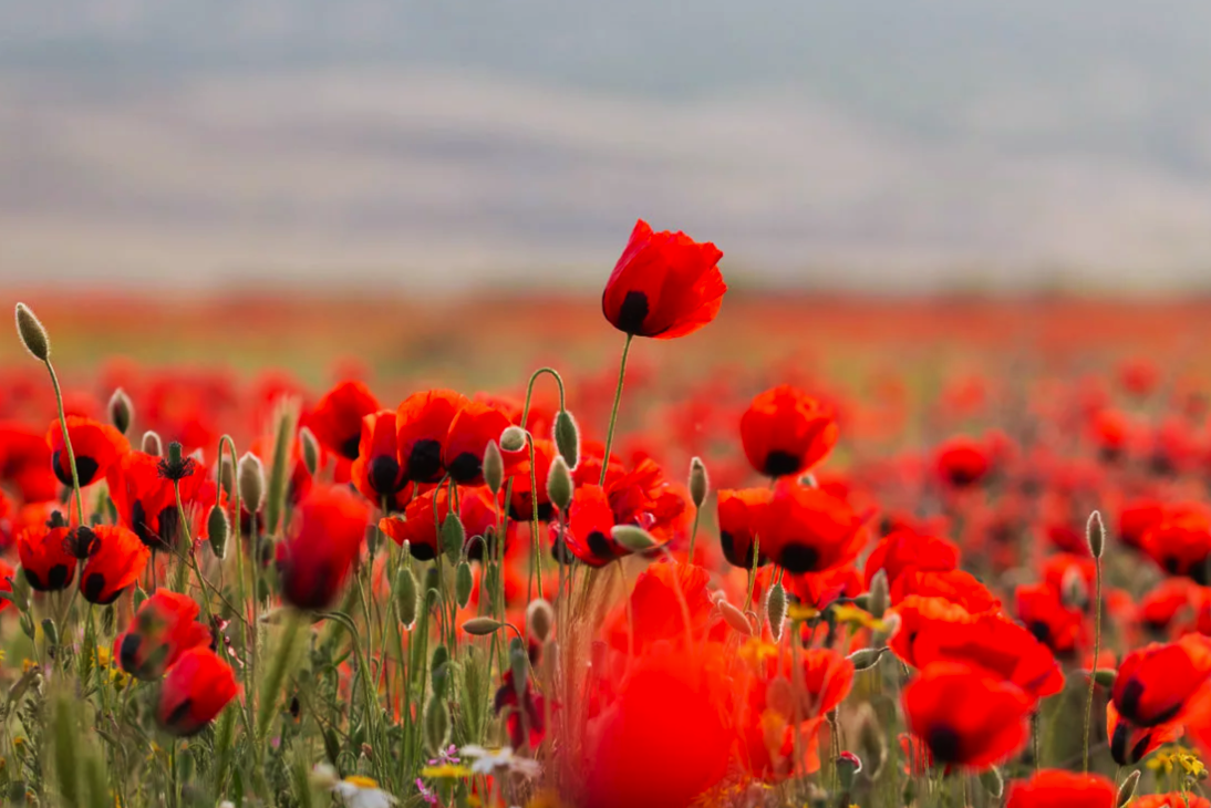 ФОТОТУРЫ. Женский фотограф в Москве Екатерина Борисова Туры для женщин