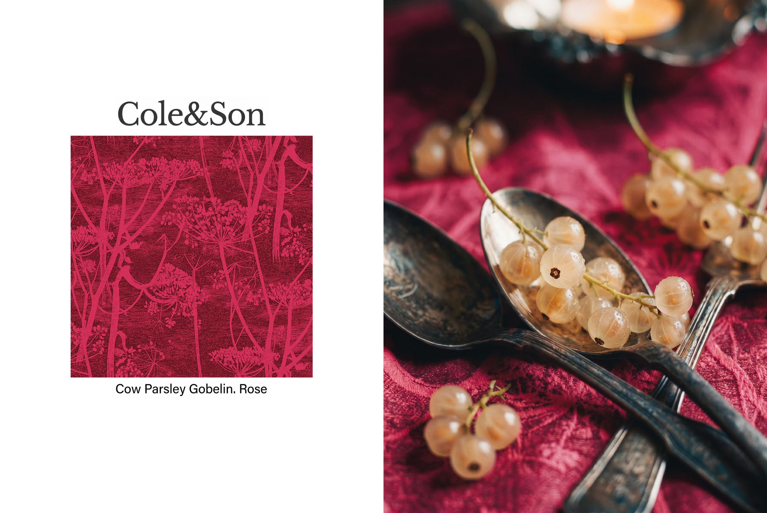 «Cole&Son». By amorisate. Профессиональная 3d и нейровизуализация