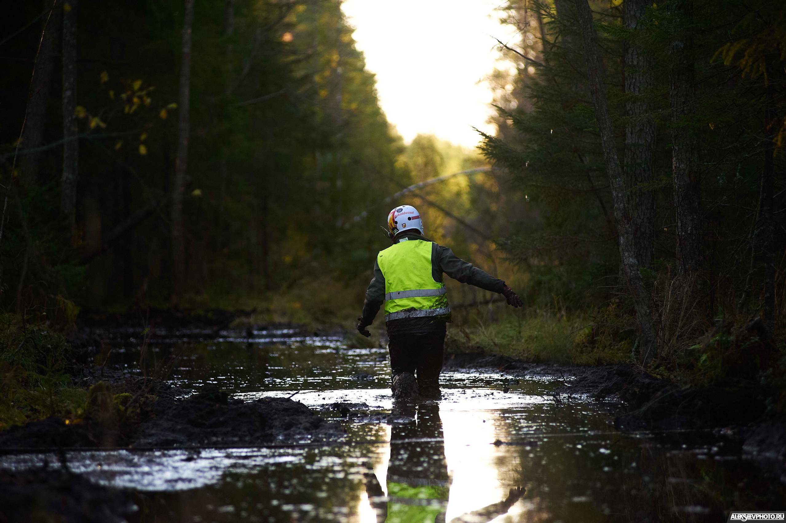 Трофи. Фотограф Алексей Алексеев