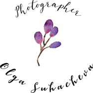 olgasuhacheva.wfolio.pro