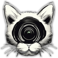 asompnuwfm8a.wfolio.pro