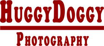 huggydoggy.ru