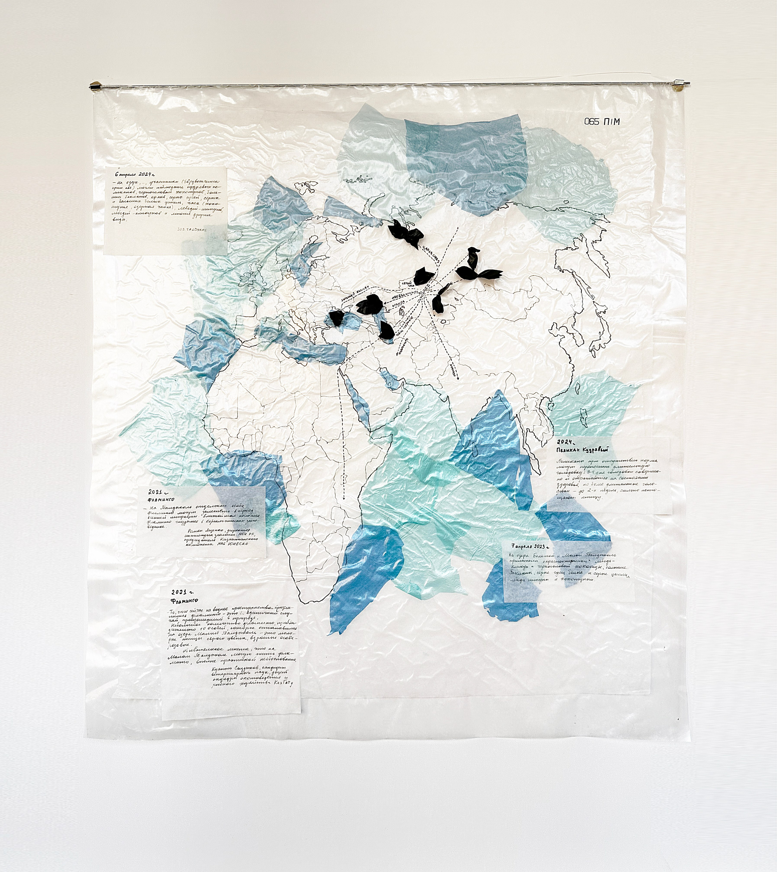 Полина Крутова