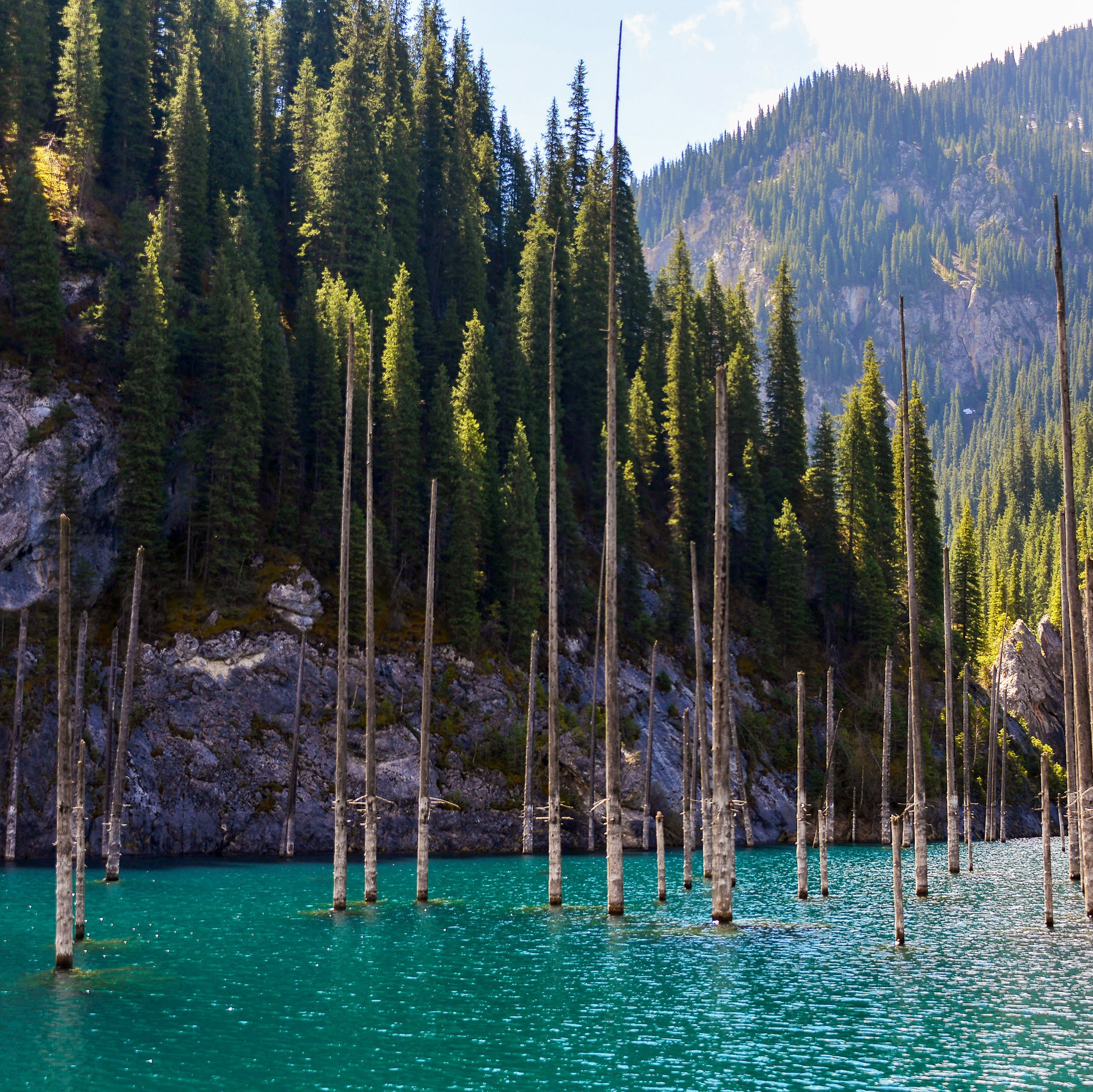 Услуги-Расценки. Фотосъёмка. Фотограф Сергей Авдеев-семейный и детский фотограф в Алматы