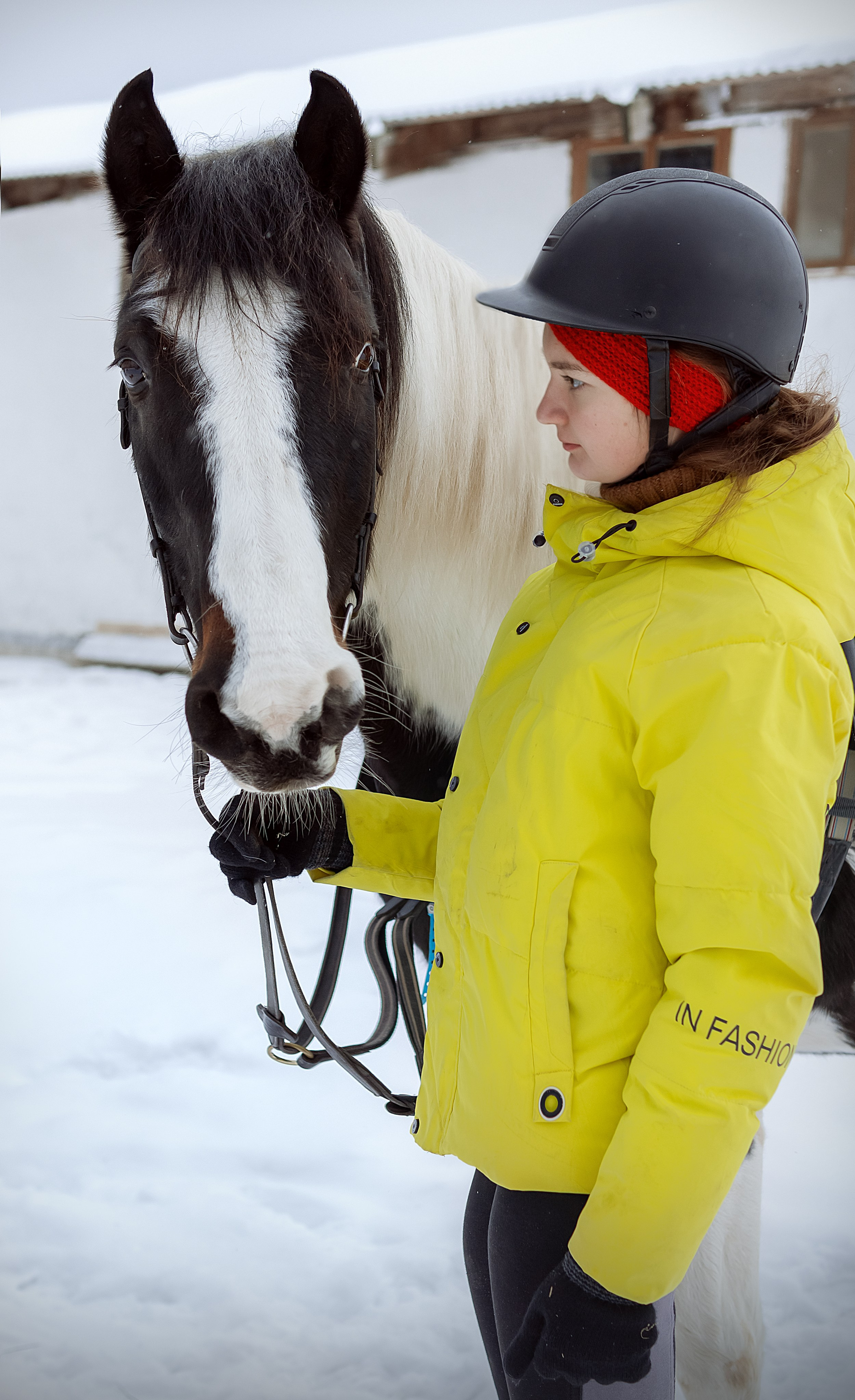 Конноспортивная школа Добрый конь город Белоозерский