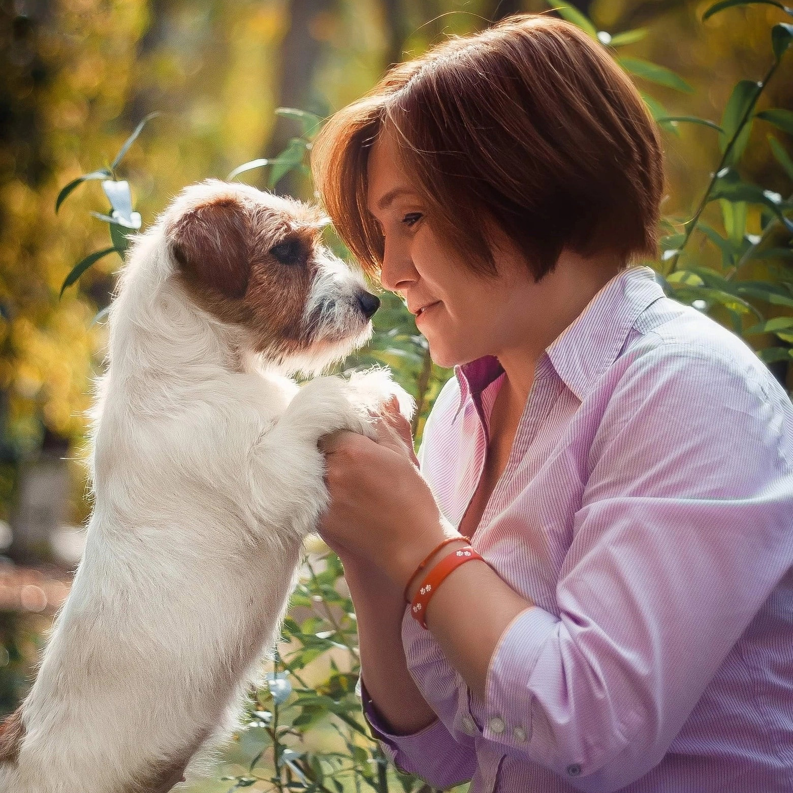 Джек Рассел терьер. Санкт-Петербург. Щенки Джек Рассел терьера