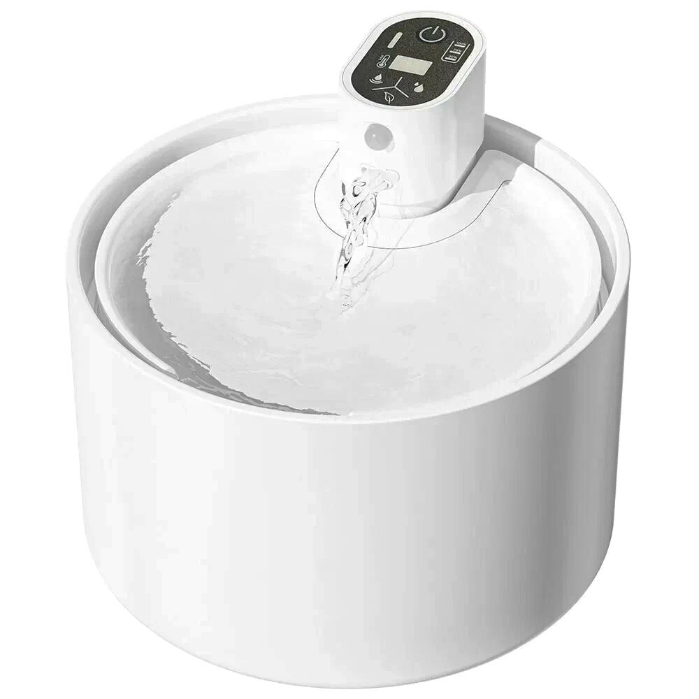 Котёнок американской бурмы. Las Burmas — питомник американской бурмы традиционных линий