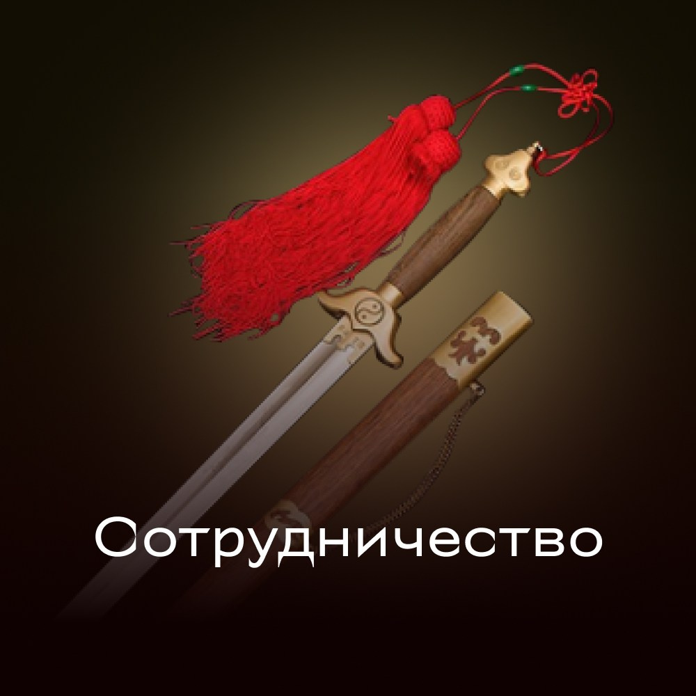 Цигун и гунфу. Лилия Гоца. Гунфу Шаолинь. Арт-фотография. Ретриты