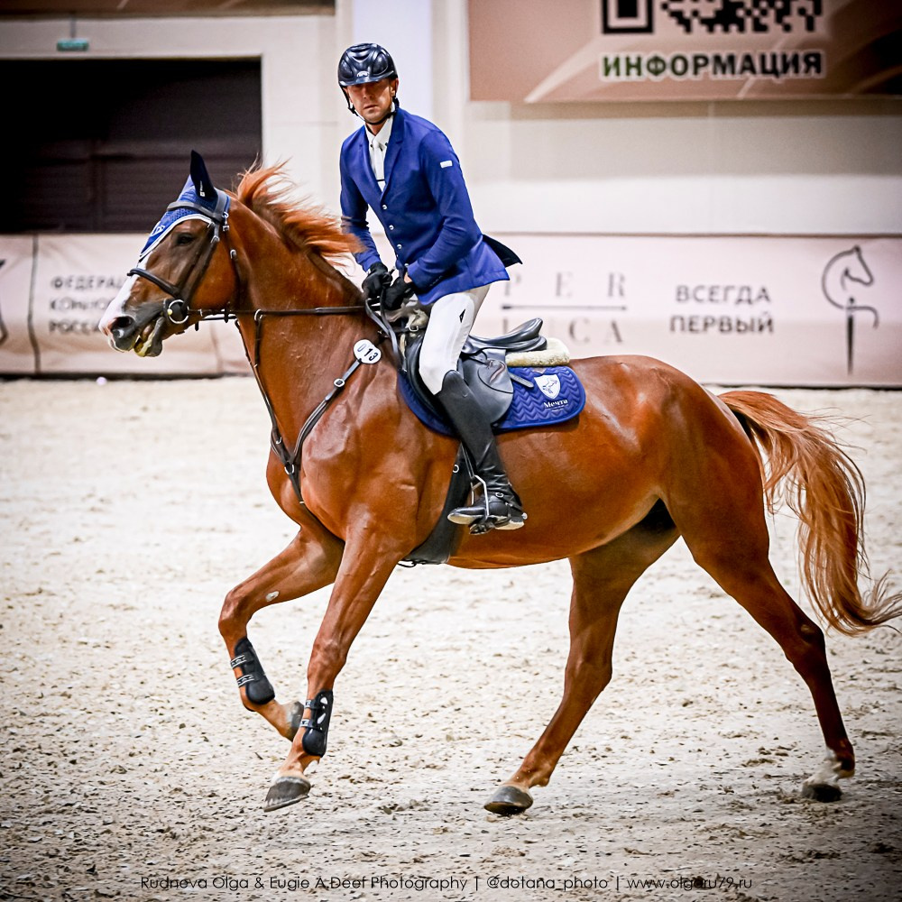 2025.10.25 — КСК Виват, Россия!. ТУРНИРНАЯ КОННАЯ ФОТОГРАФИЯ, Руднева Ольга и Евгений Адеев