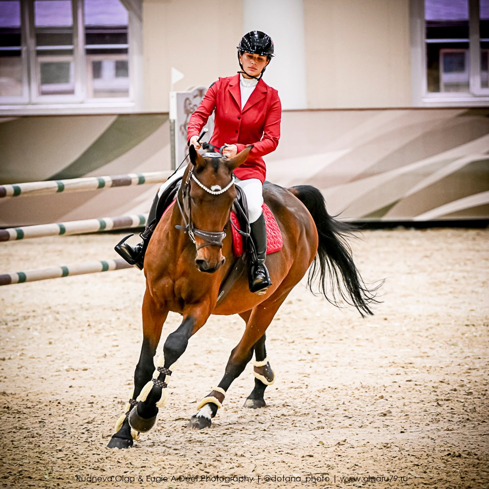 2025.10.25 — КСК Виват, Россия!. ТУРНИРНАЯ КОННАЯ ФОТОГРАФИЯ, Руднева Ольга и Евгений Адеев
