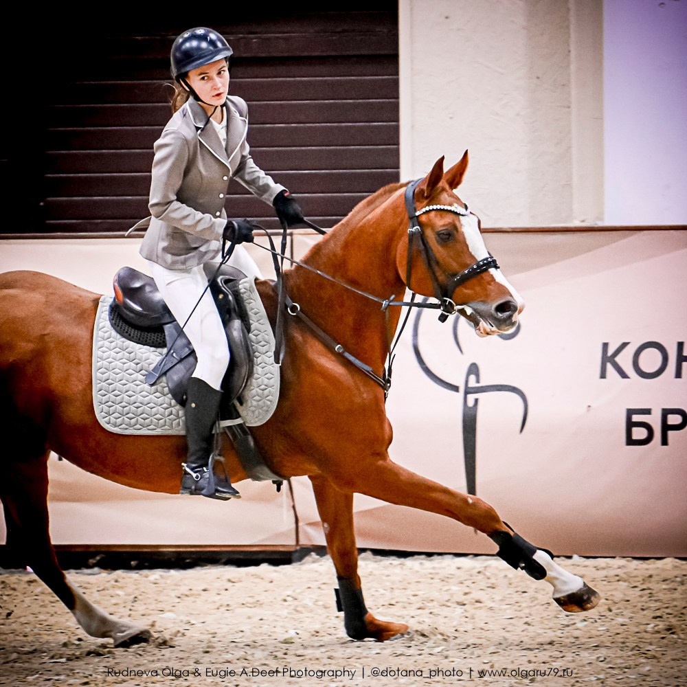 2025.10.25 — КСК Виват, Россия!. ТУРНИРНАЯ КОННАЯ ФОТОГРАФИЯ, Руднева Ольга и Евгений Адеев