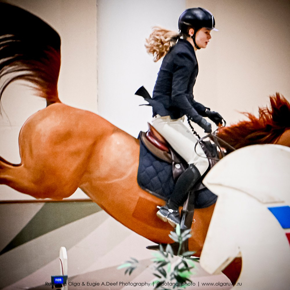 2025.10.25 — КСК Виват, Россия!. ТУРНИРНАЯ КОННАЯ ФОТОГРАФИЯ, Руднева Ольга и Евгений Адеев