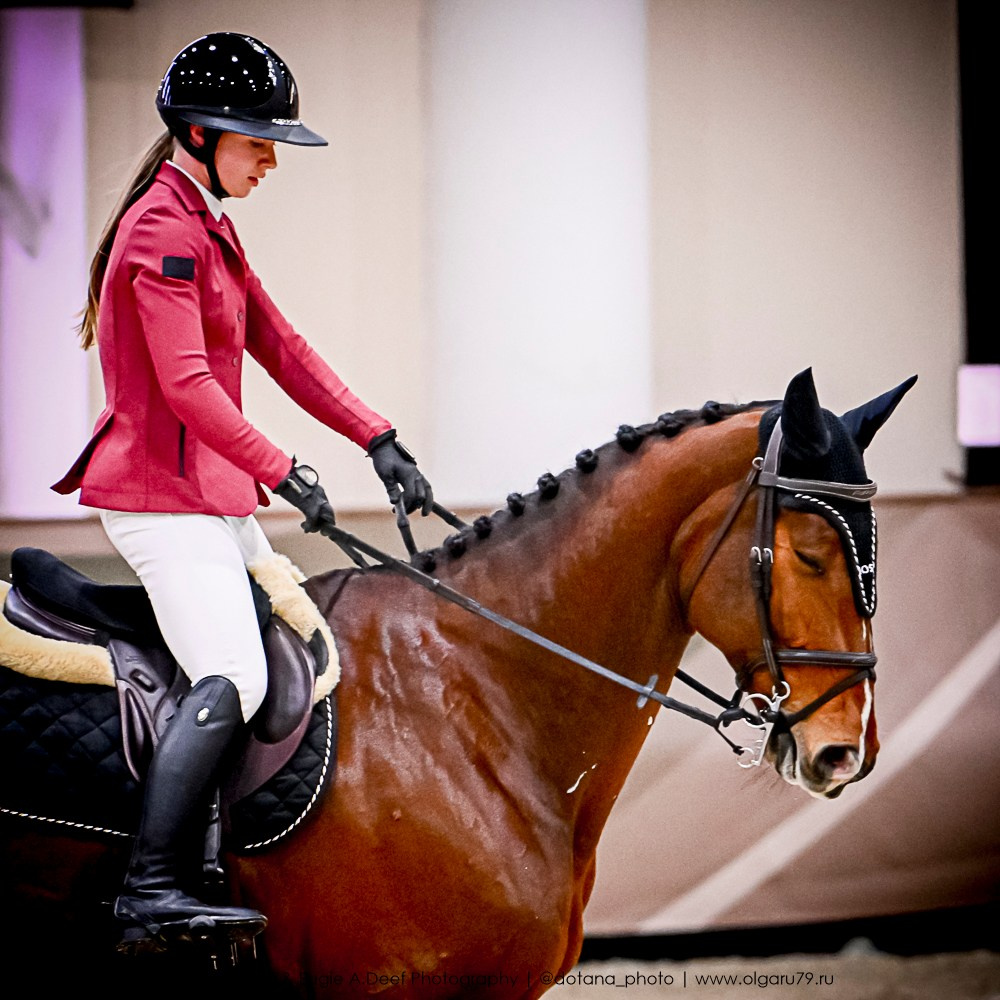 2025.10.25 — КСК Виват, Россия!. ТУРНИРНАЯ КОННАЯ ФОТОГРАФИЯ, Руднева Ольга и Евгений Адеев