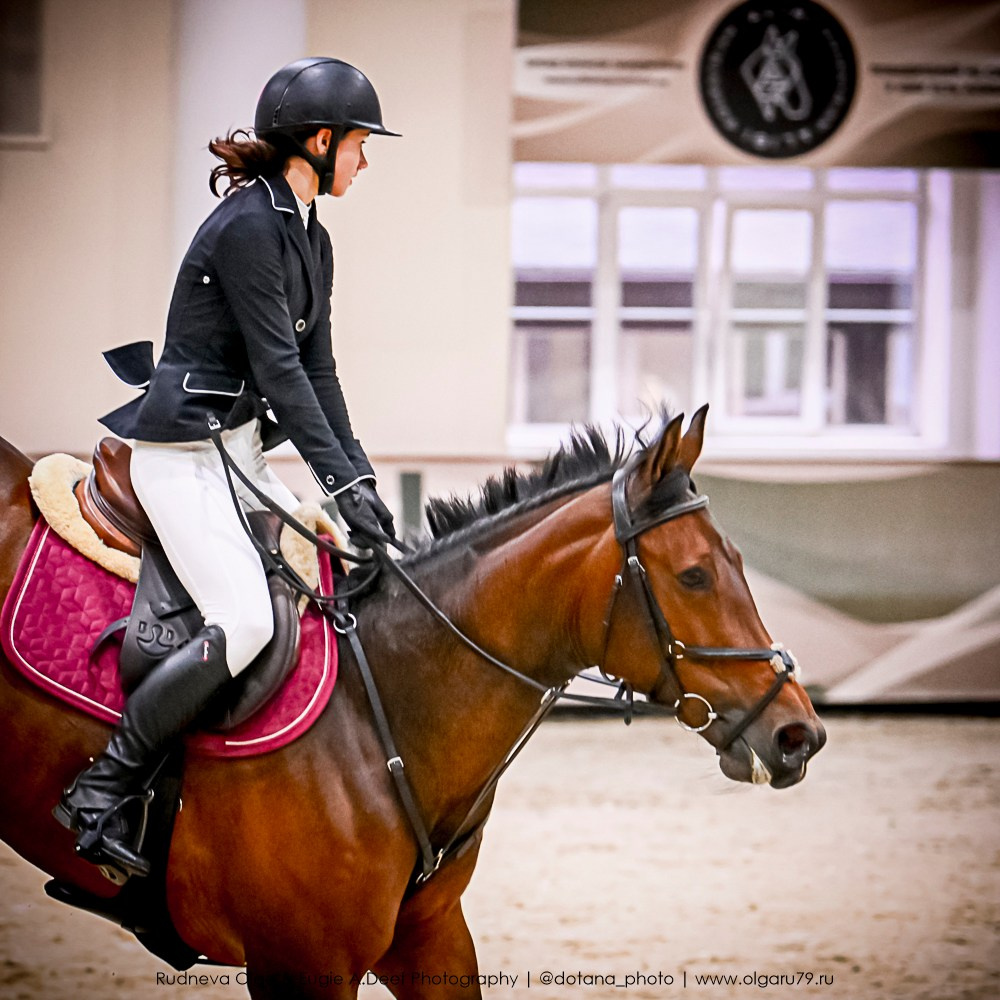 2025.10.25 — КСК Виват, Россия!. ТУРНИРНАЯ КОННАЯ ФОТОГРАФИЯ, Руднева Ольга и Евгений Адеев