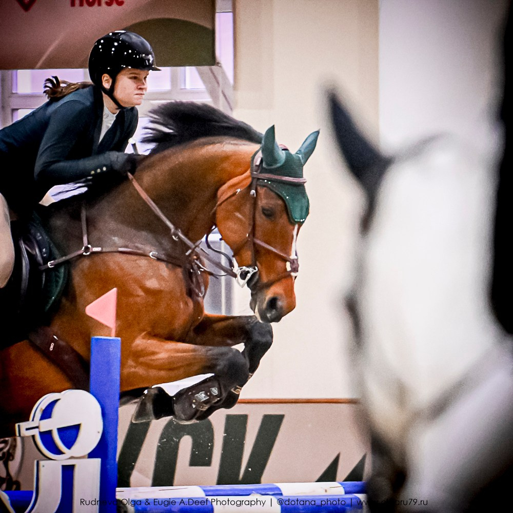 2025.10.25 — КСК Виват, Россия!. ТУРНИРНАЯ КОННАЯ ФОТОГРАФИЯ, Руднева Ольга и Евгений Адеев