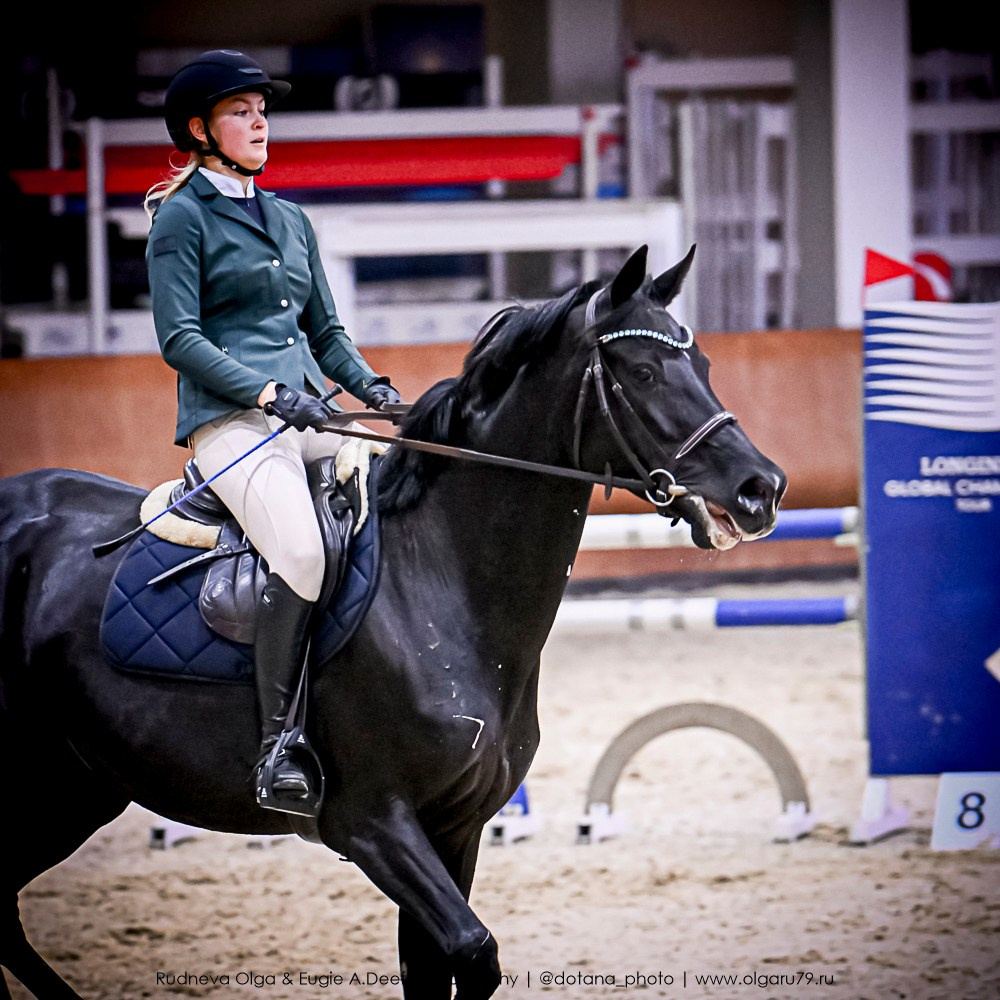 2025.10.25 — КСК Виват, Россия!. ТУРНИРНАЯ КОННАЯ ФОТОГРАФИЯ, Руднева Ольга и Евгений Адеев