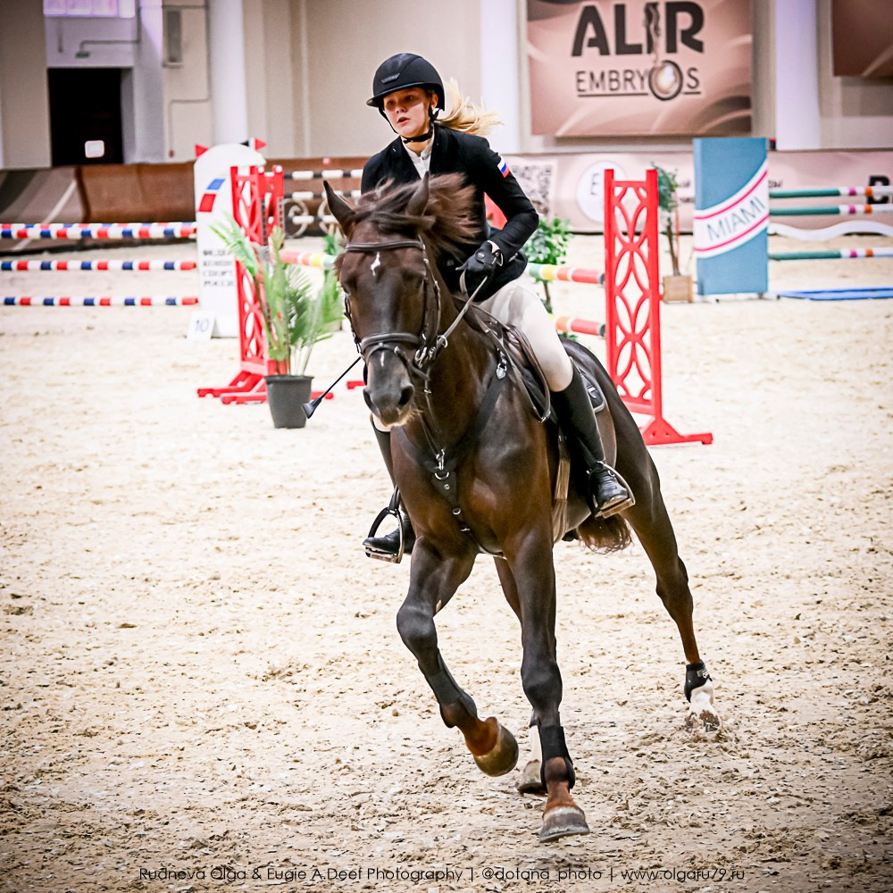 2025.10.25 — КСК Виват, Россия!. ТУРНИРНАЯ КОННАЯ ФОТОГРАФИЯ, Руднева Ольга и Евгений Адеев