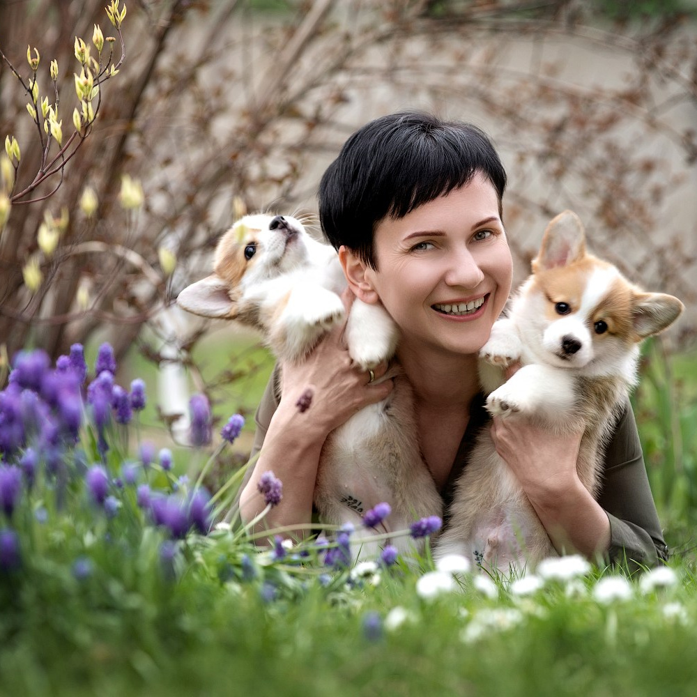 Контакты — бренд-фотограф и фотограф-анималист в Москве и области. Фотограф-анималист и бренд-фотограф в Москве | Фотография собак, людей, бизнес-портрет