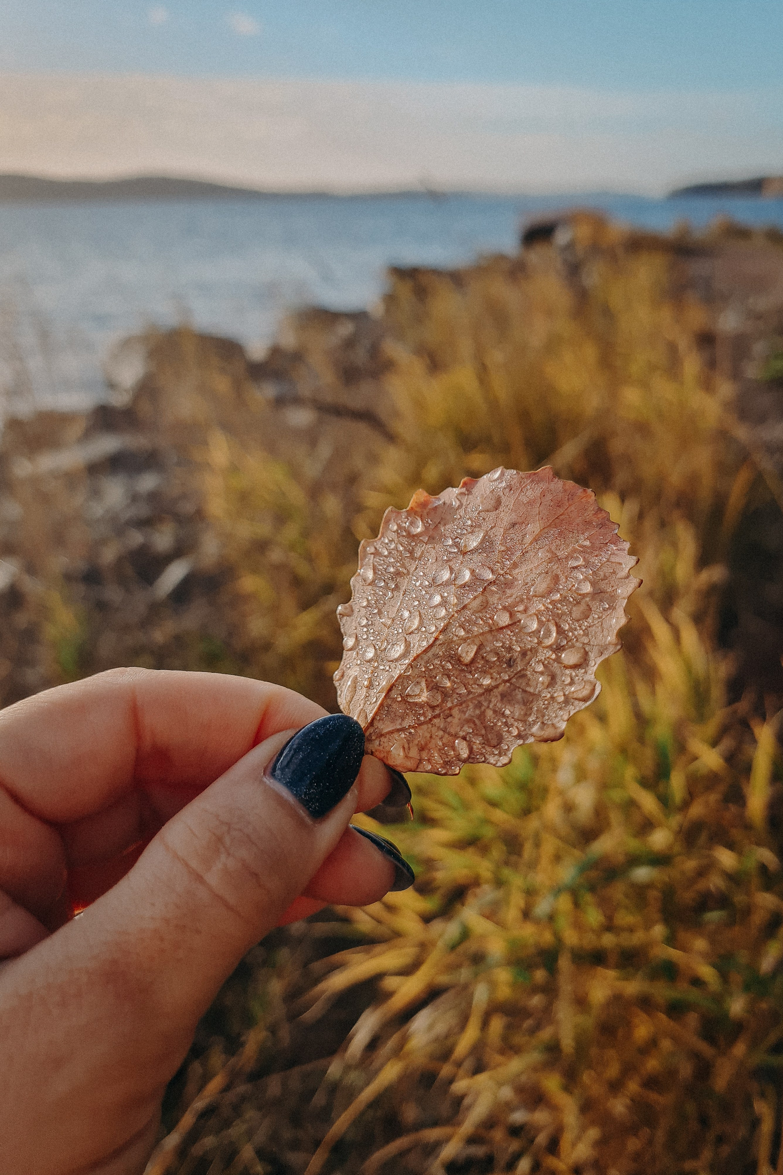 Осенняя поездка в Карелию. Свадебный фотограф в Санкт-Петербурге Венера Ахметова