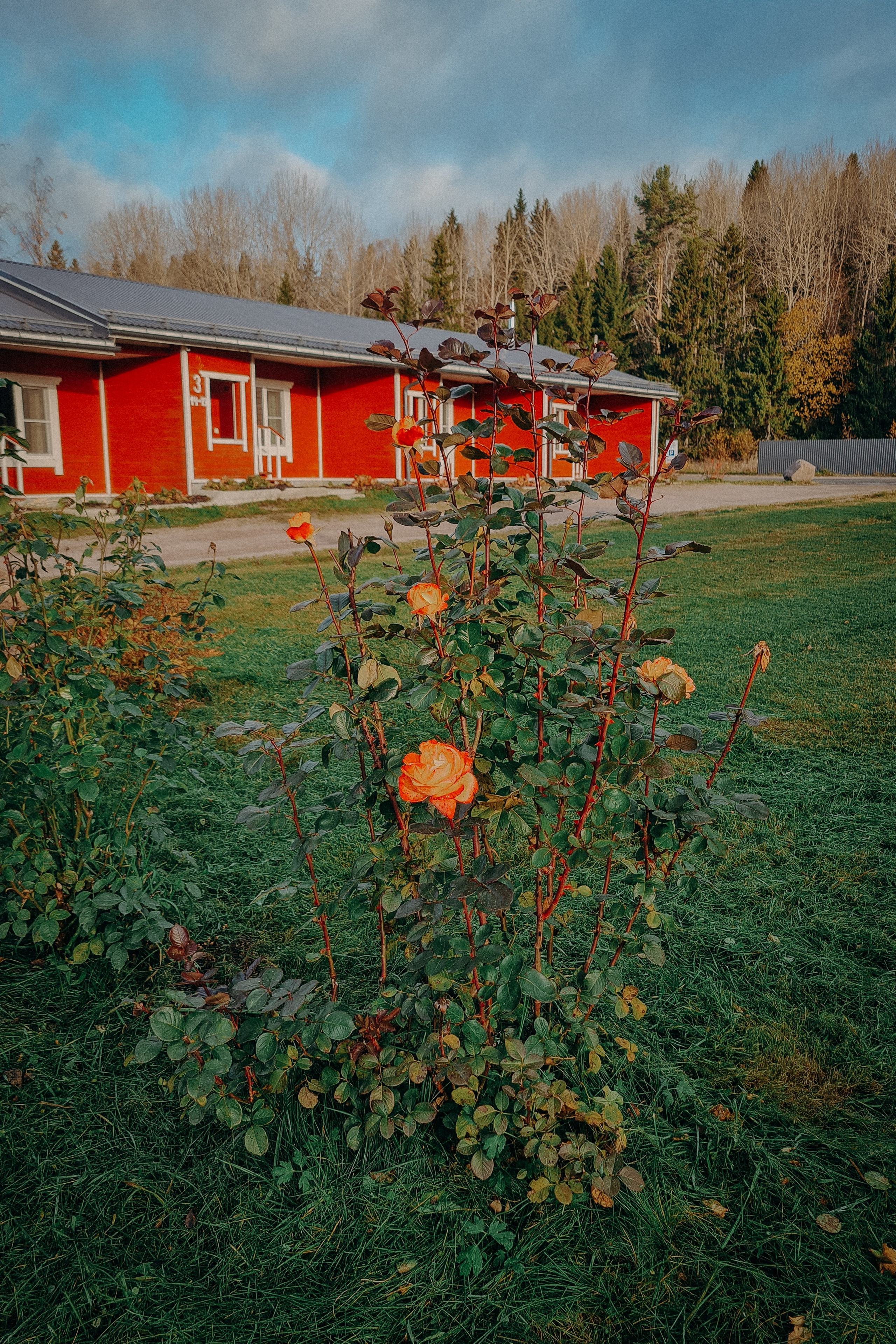Осенняя поездка в Карелию. Свадебный фотограф в Санкт-Петербурге Венера Ахметова
