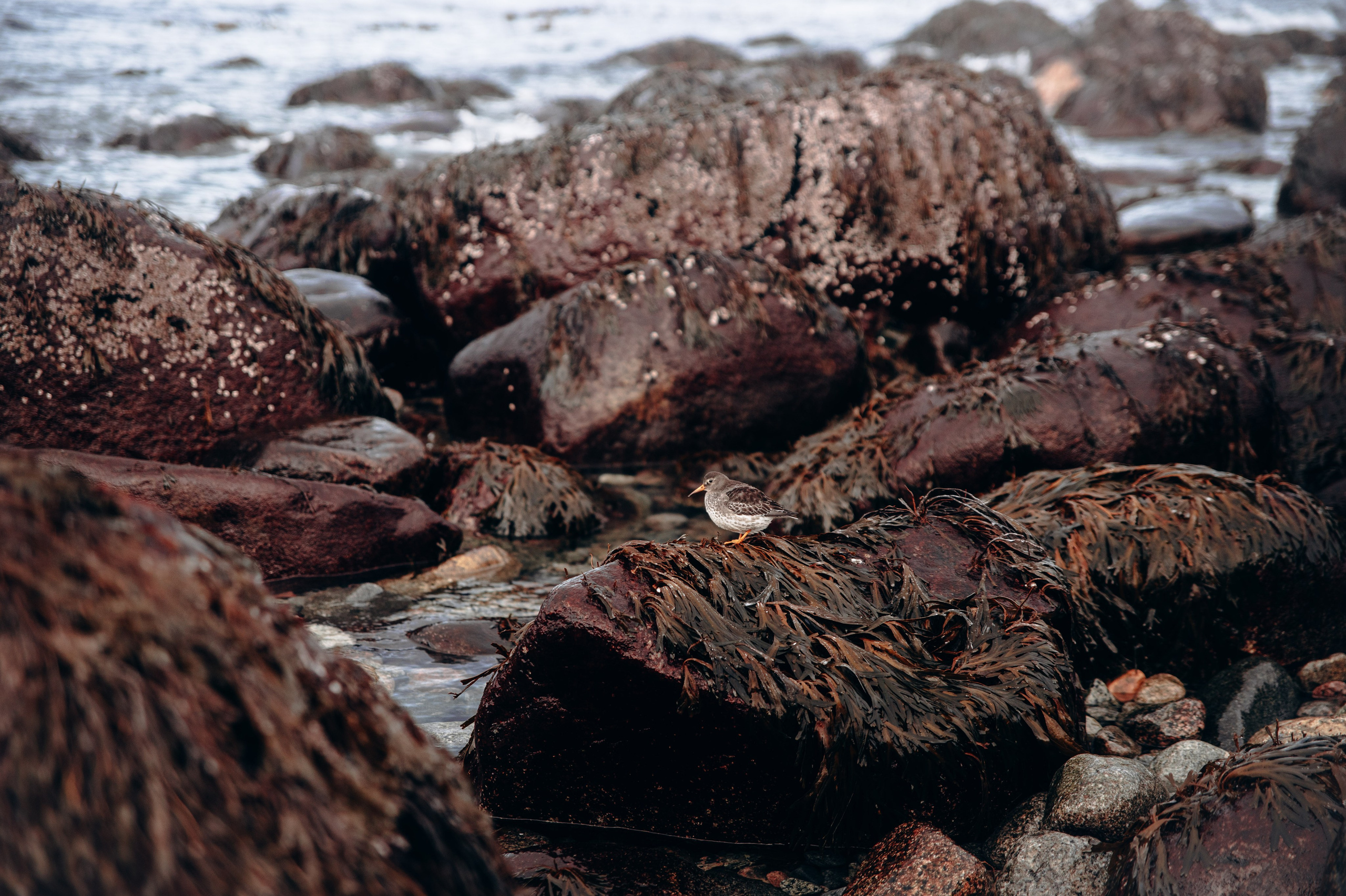 Мурманск. Anita_photo