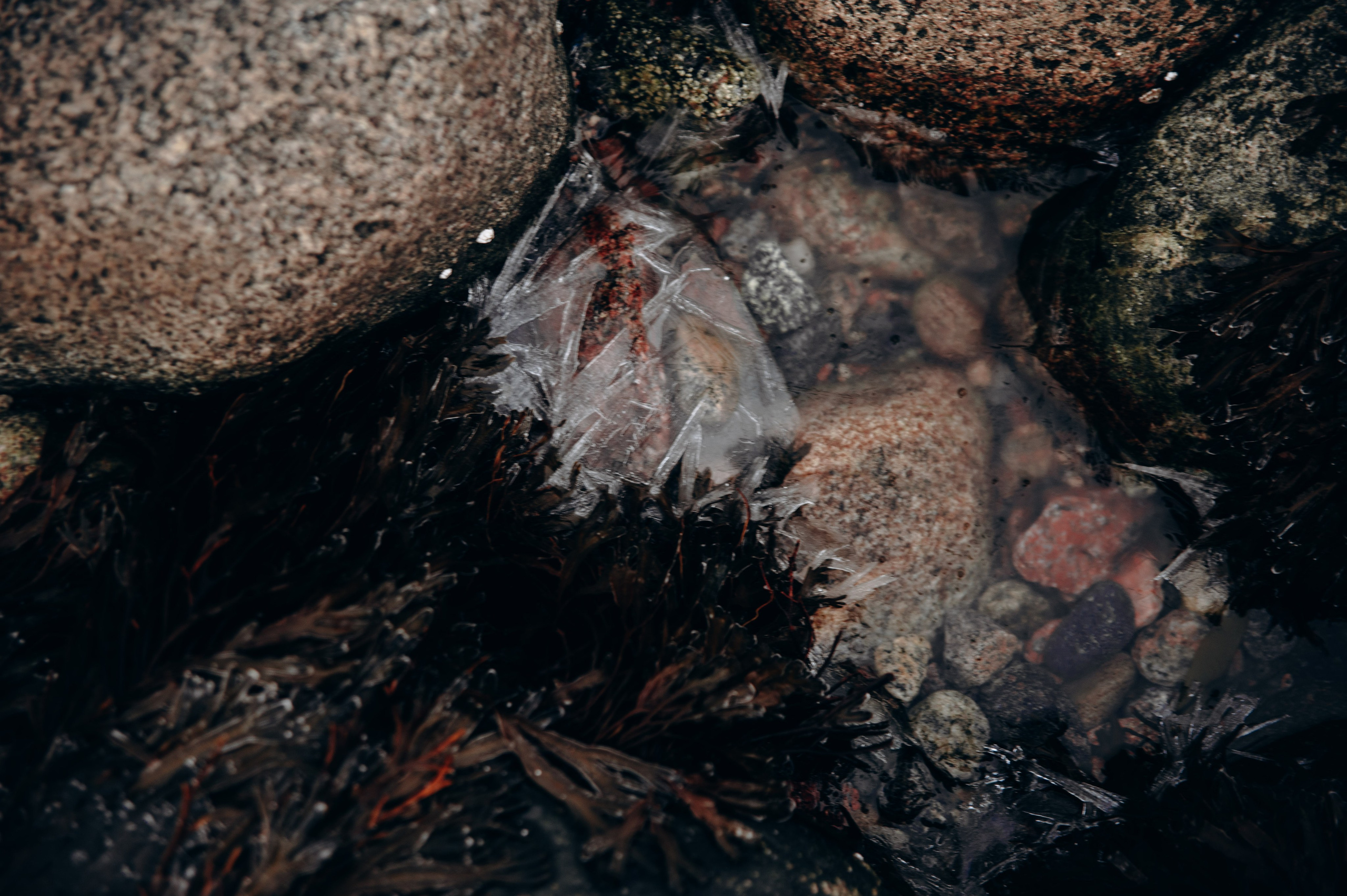 Мурманск. Anita_photo