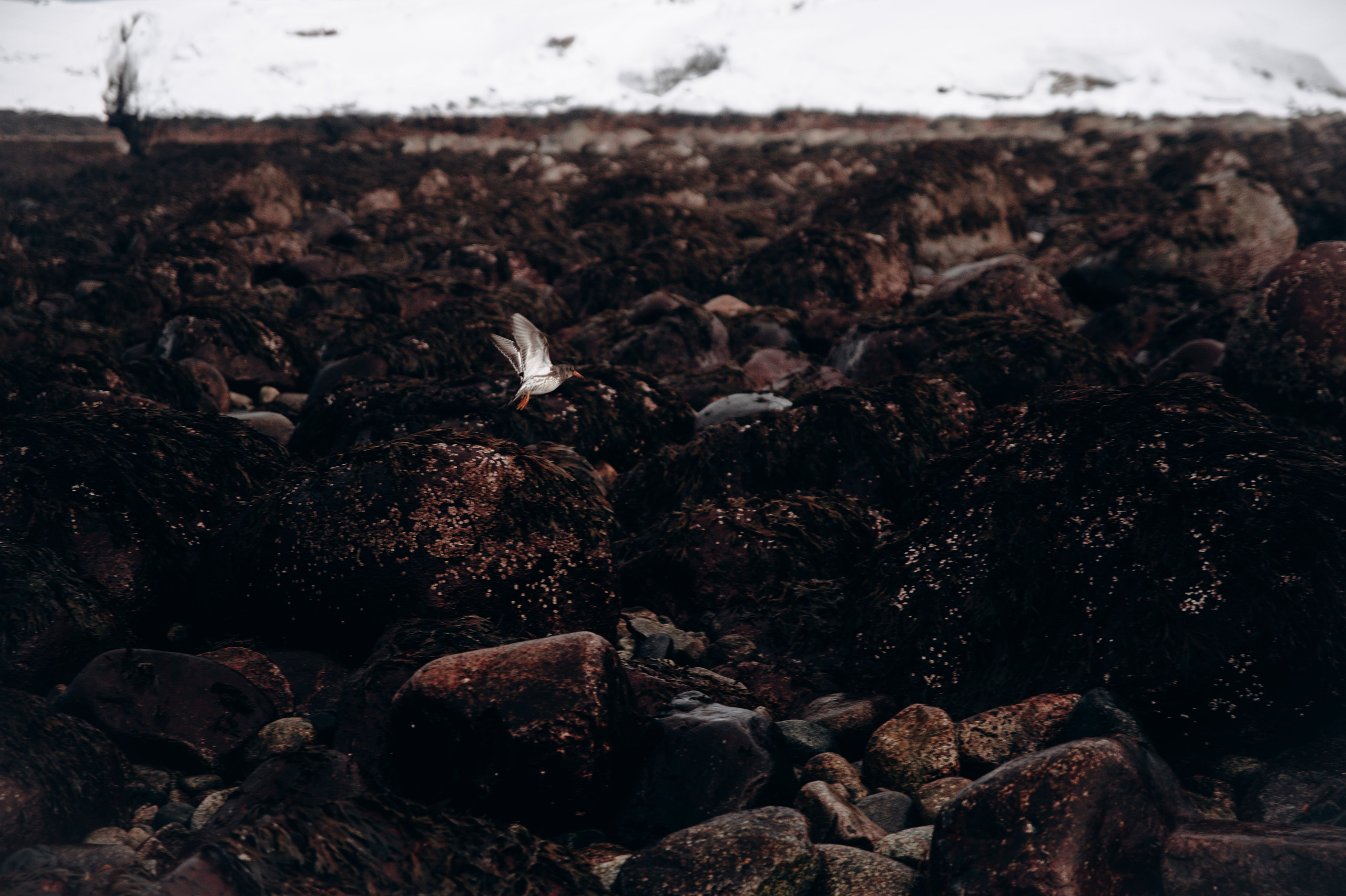 Мурманск. Anita_photo