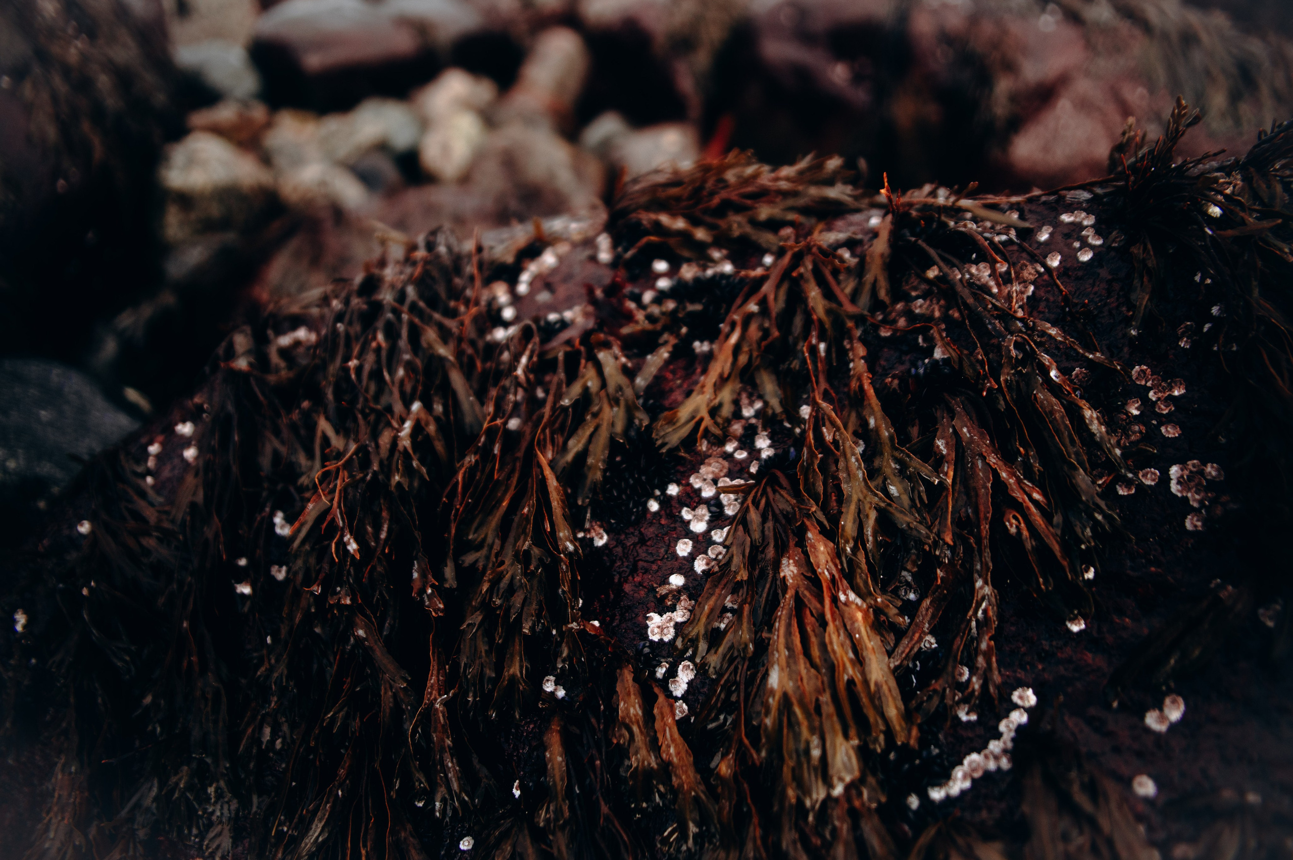 Мурманск. Anita_photo