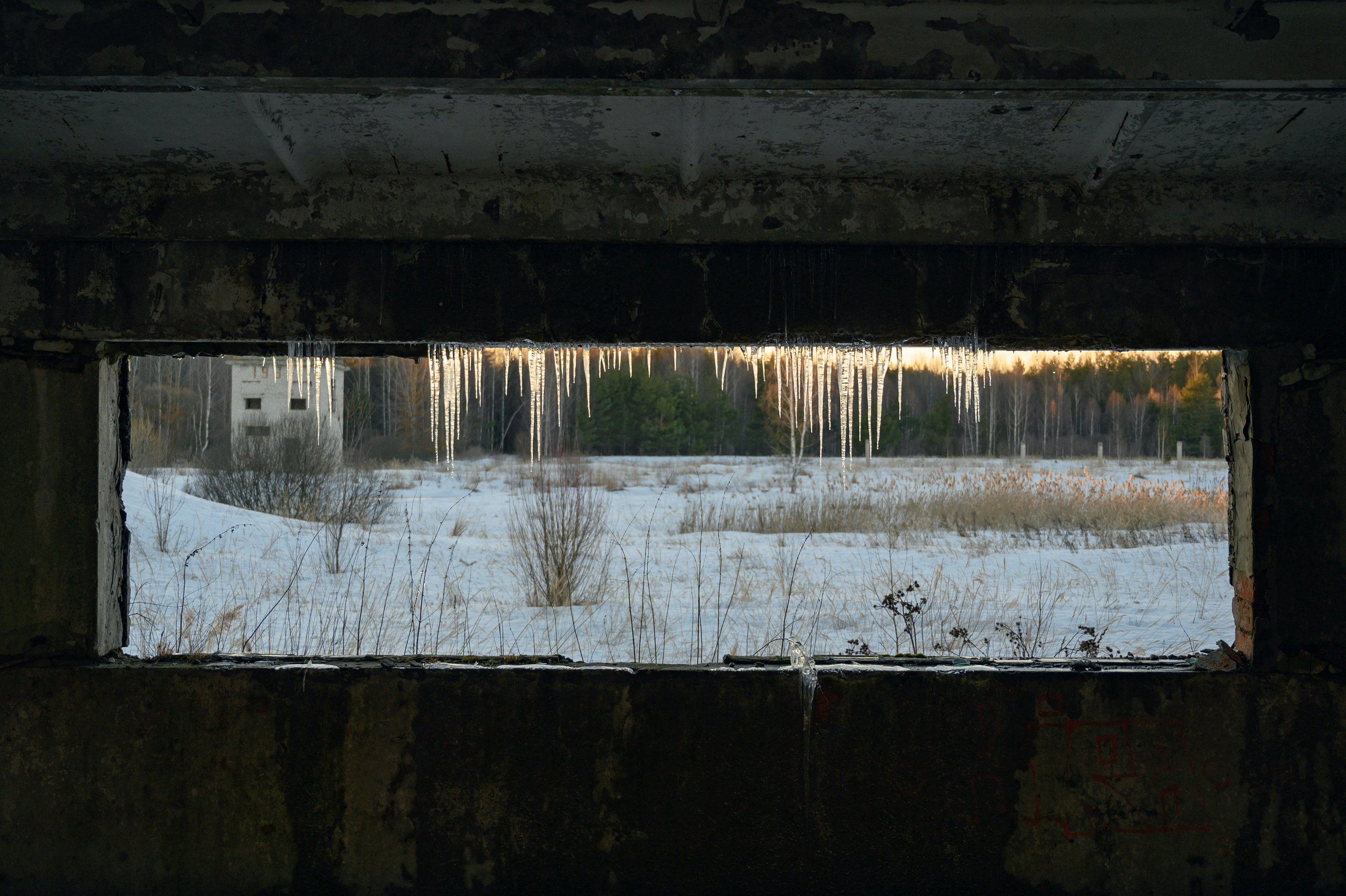 Райский уголок. Фотограф Елена Хазина, Рязань