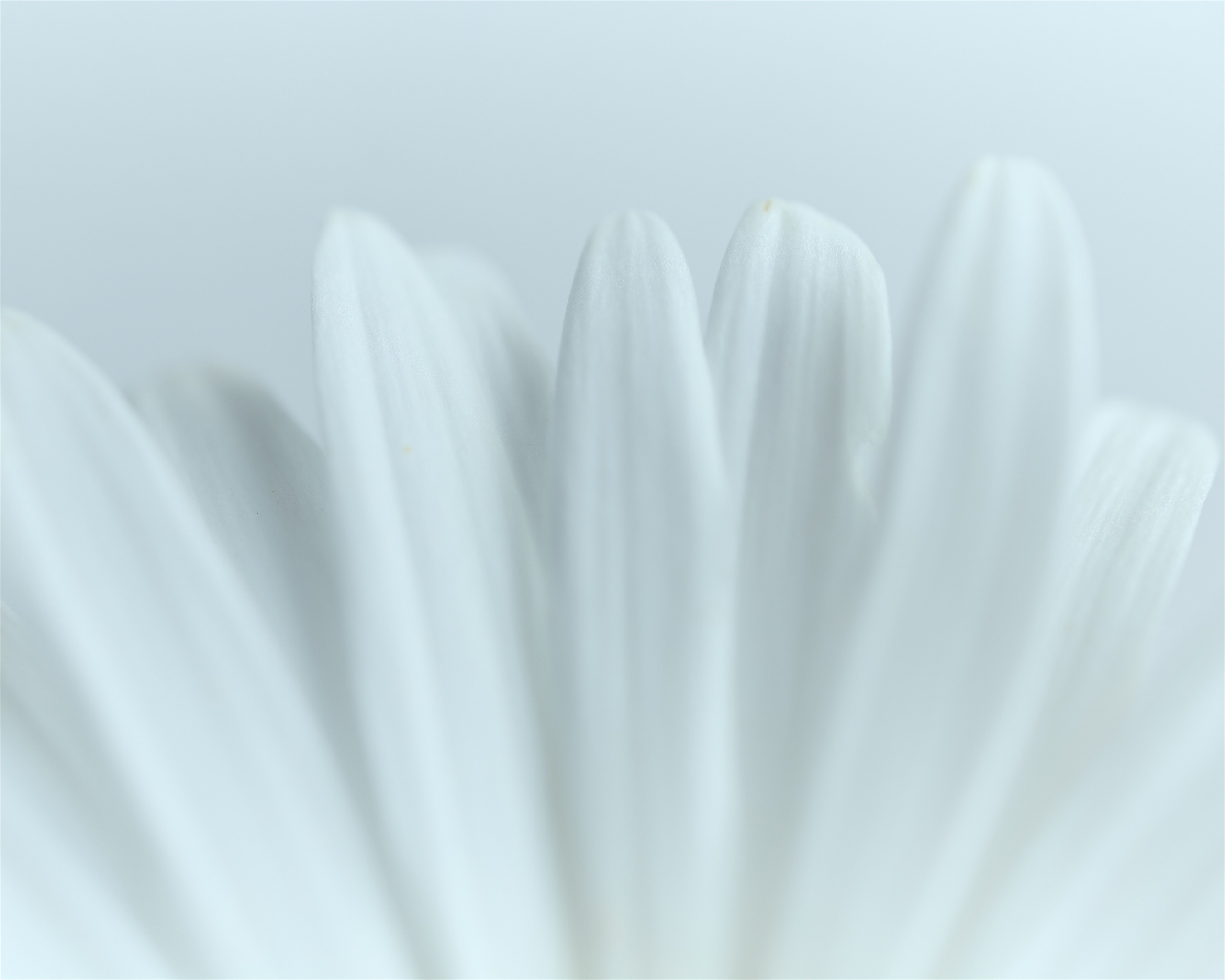 Фотограф Ольга Малыгина