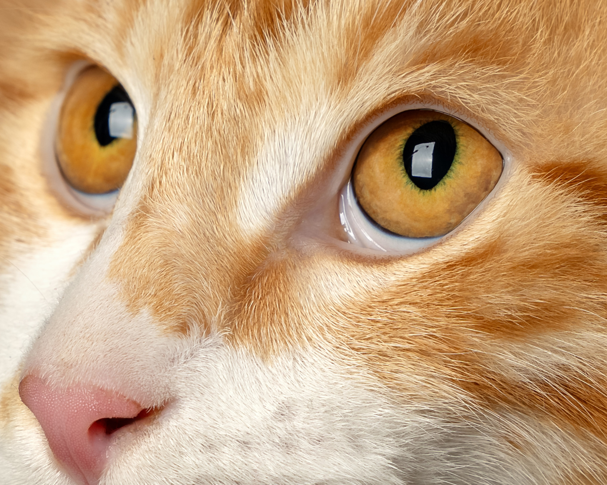 Алена Попова — фотограф в Хабаровске