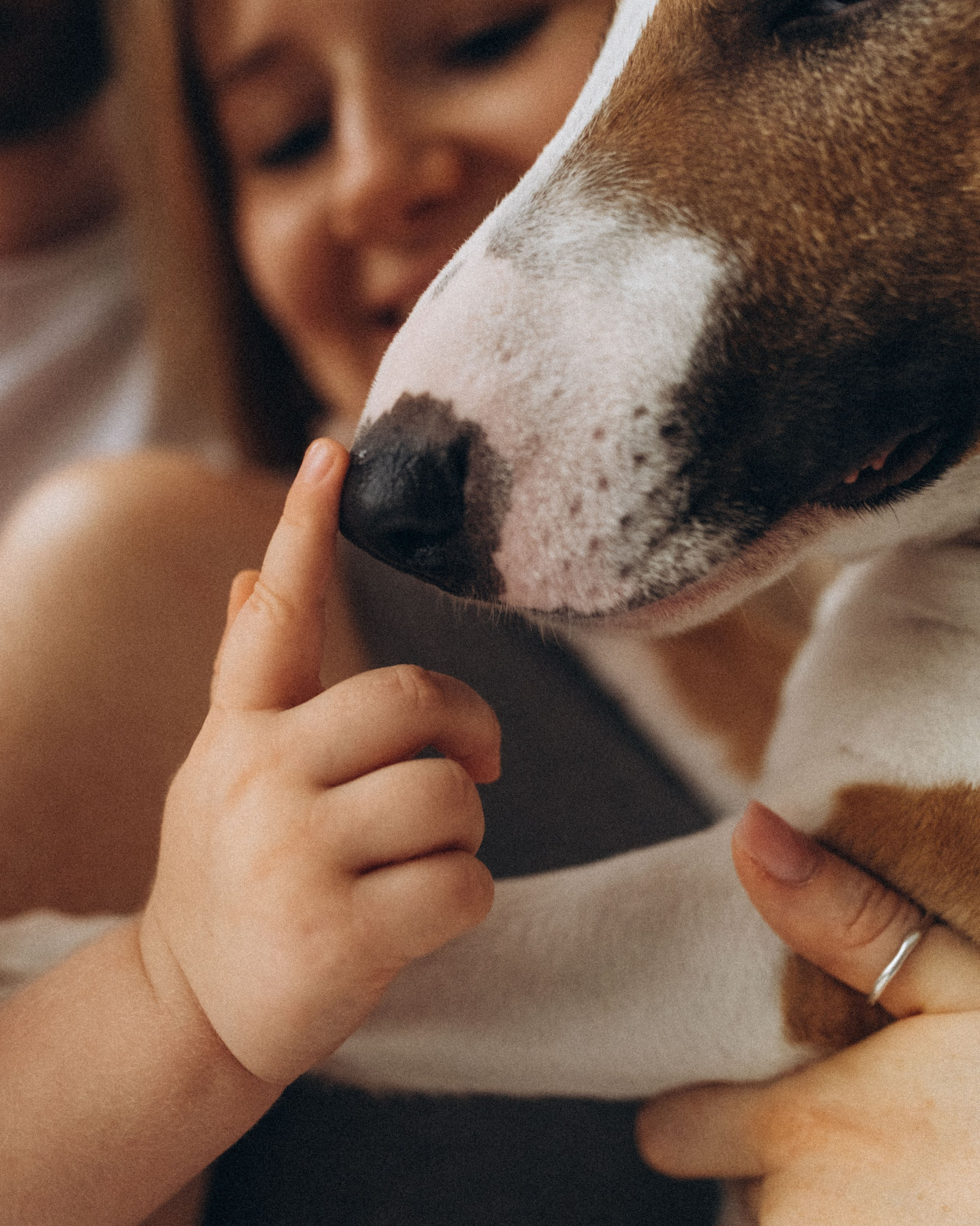 Семейный фотограф и анималист в Москве Анна Иванова
