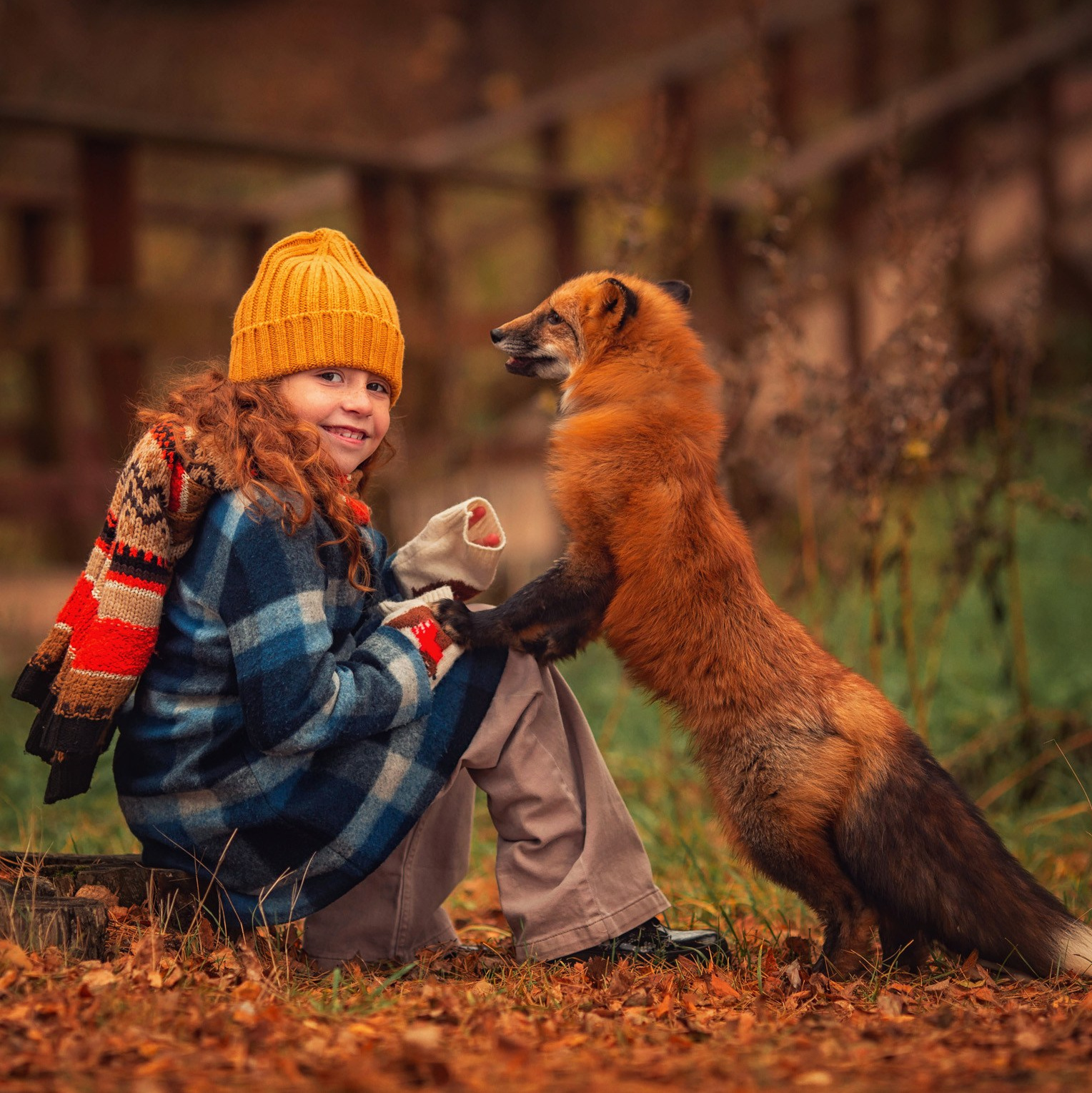 Фотосессии с животными. Фотограф в Москве — Надежда Гурьева | Дети, семьи, животные
