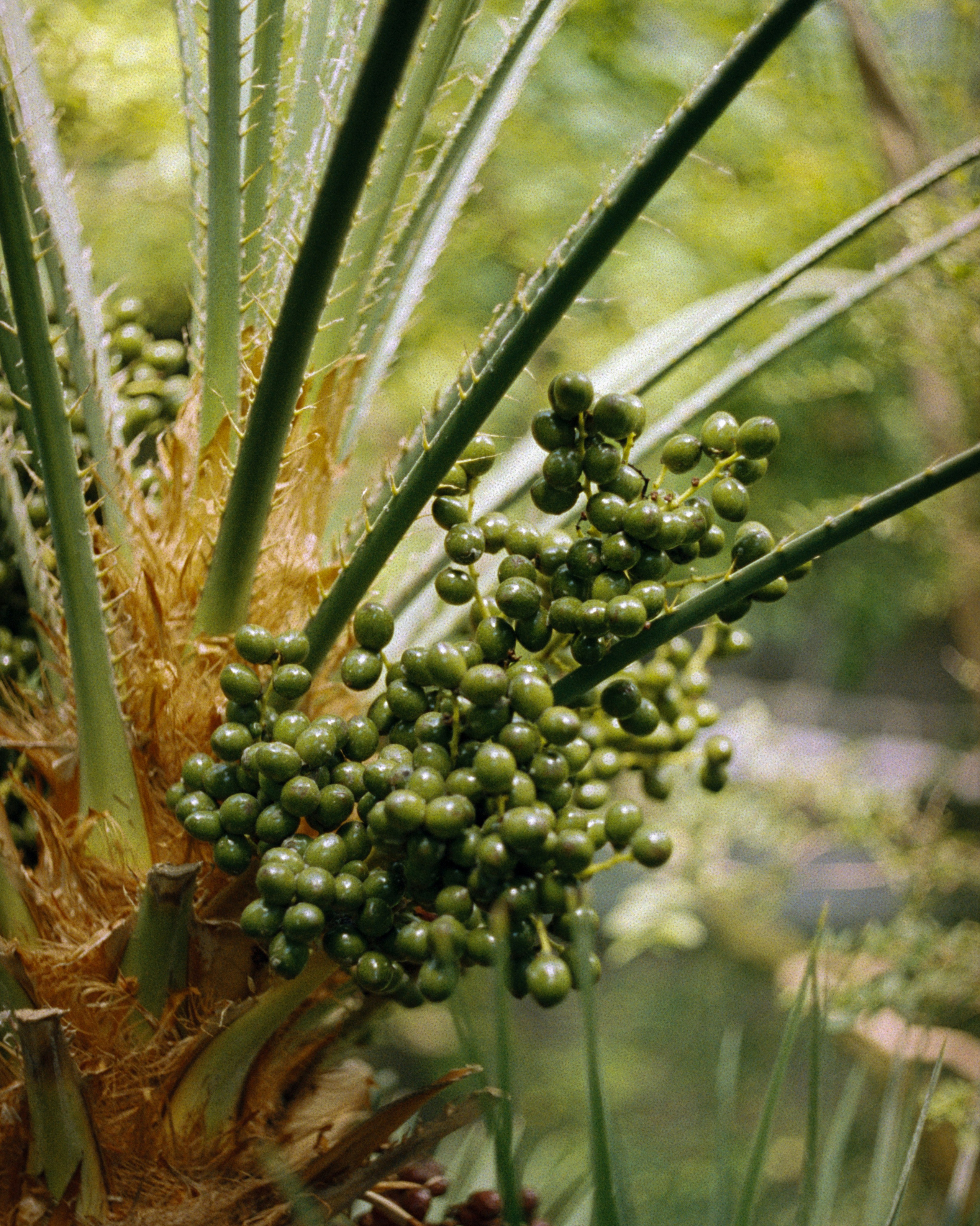 Санкт-Петербург, 2025