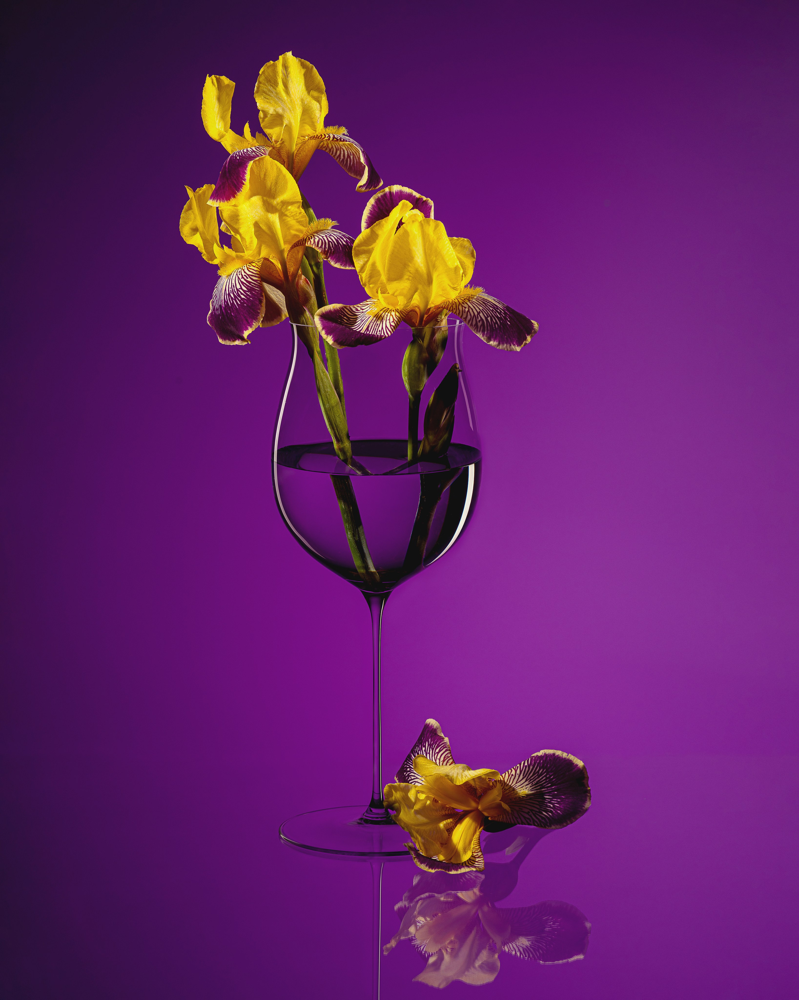 Создание композиции при съемке натюрмортов с помощью функции Live View