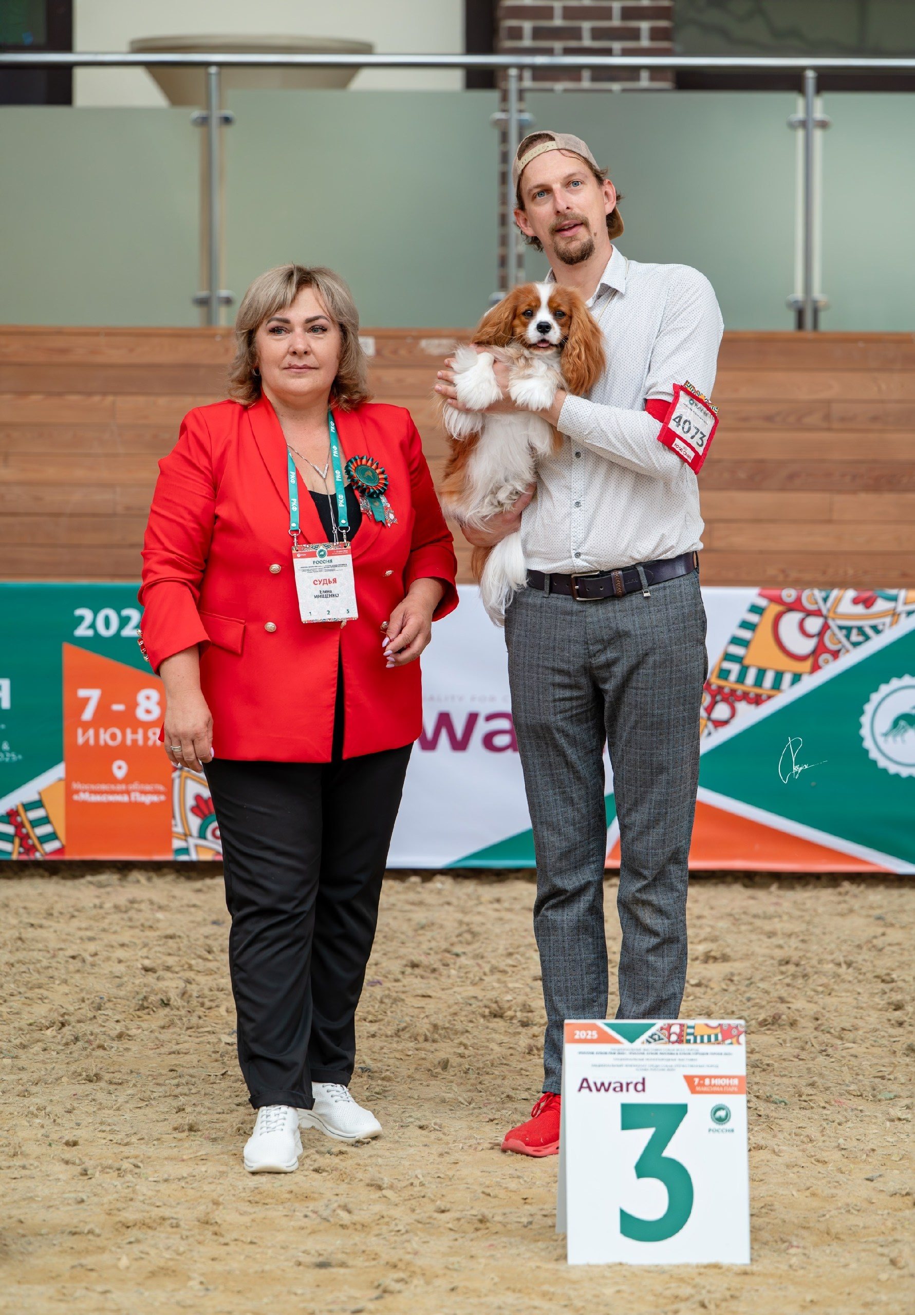 Выставки. Питомник кавалер кинг чарльз спаниелей