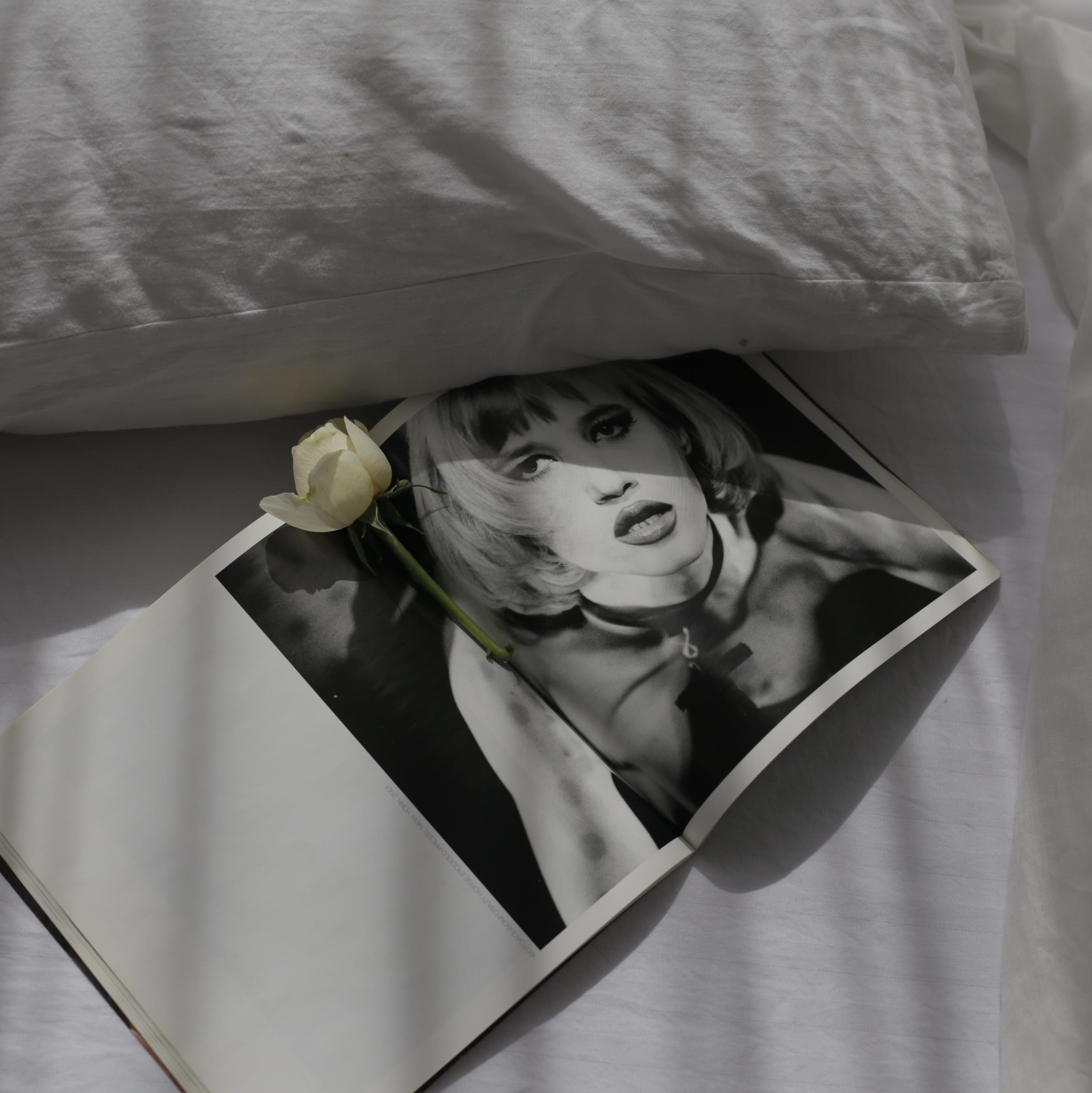 Светлана Сергиенко фотограф Красноярск, Россия, Израиль