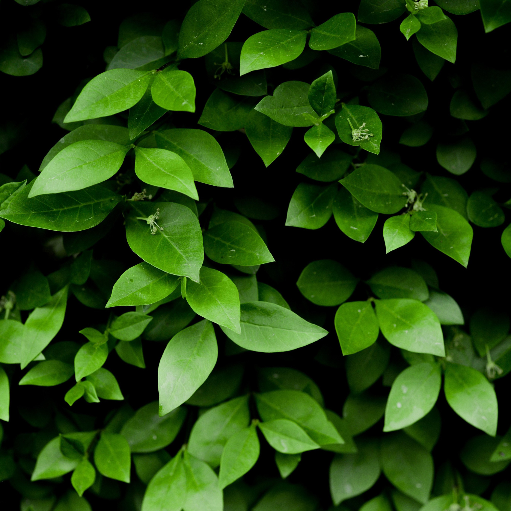 Реальный отзыв психолог. Жизнь после терапии - больше спокойствия и уверенности