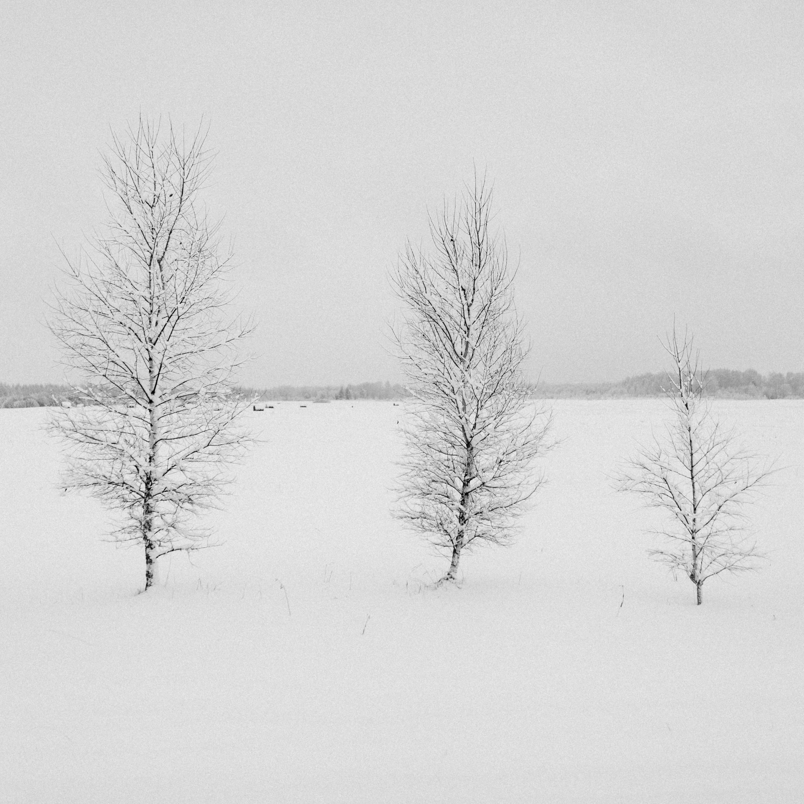 выставка 2025, выставка фотографии, выставка 2026, выставка зимней фотографии, выставка москва, фотовыставка