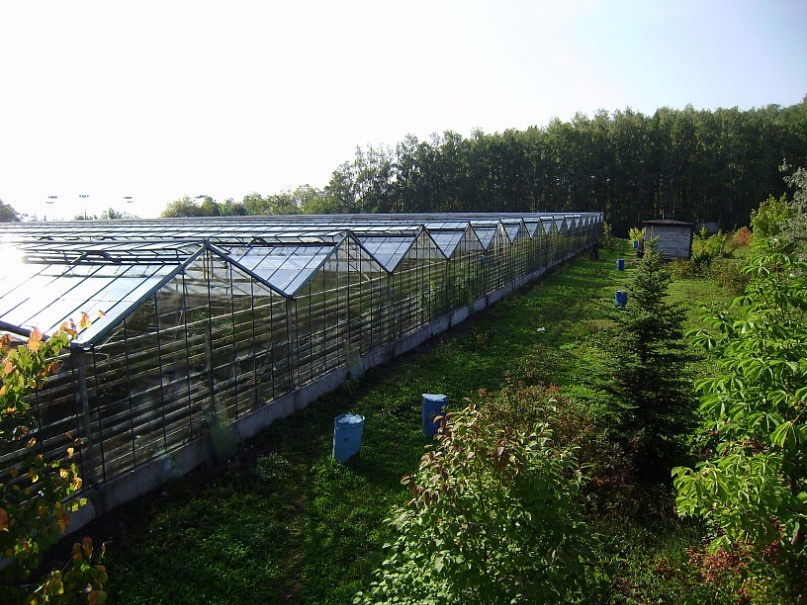 Места для фотосессий в Уфе