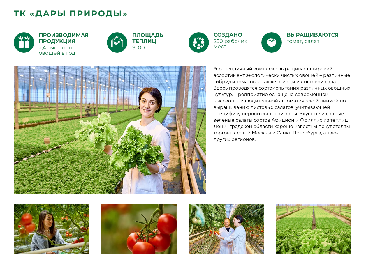 Эко-Культура