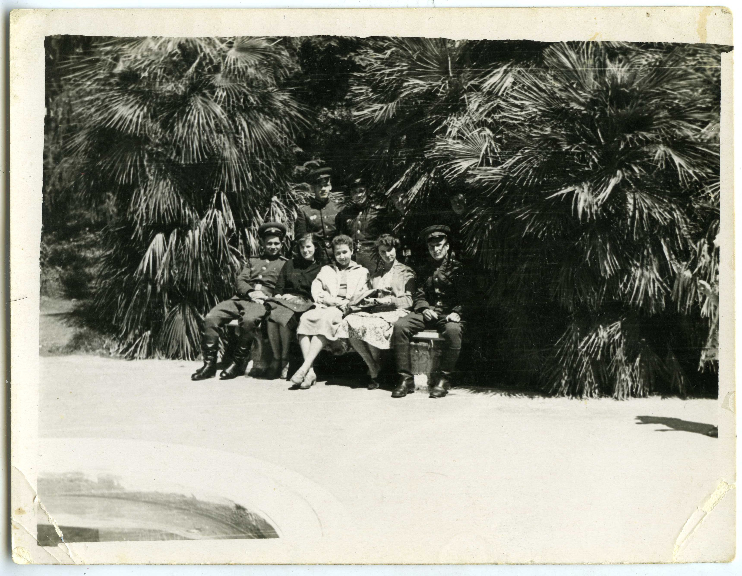 Фотография с пальмой. Курортное дело