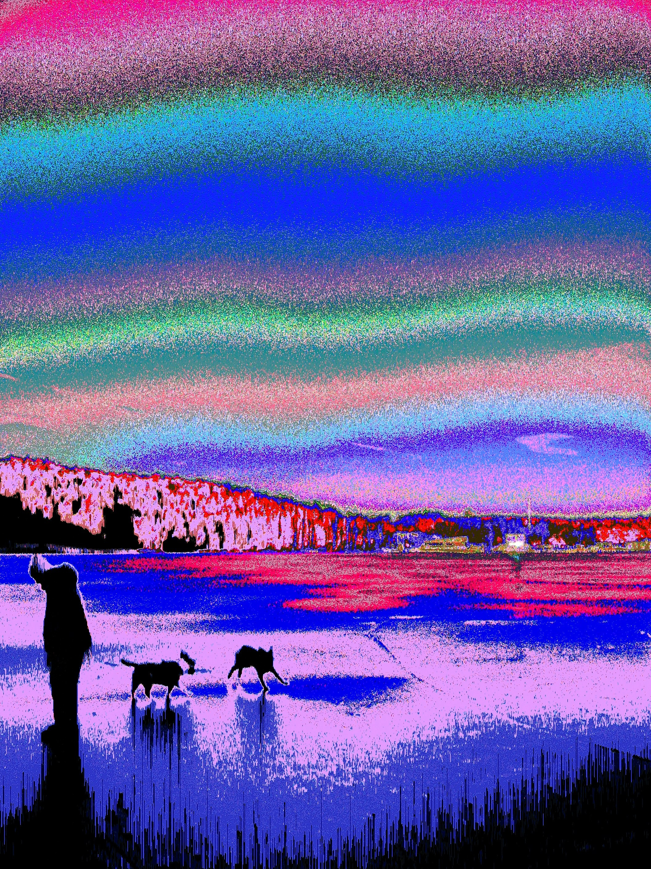 Glitch Artist Dmitriy Fayvilovich