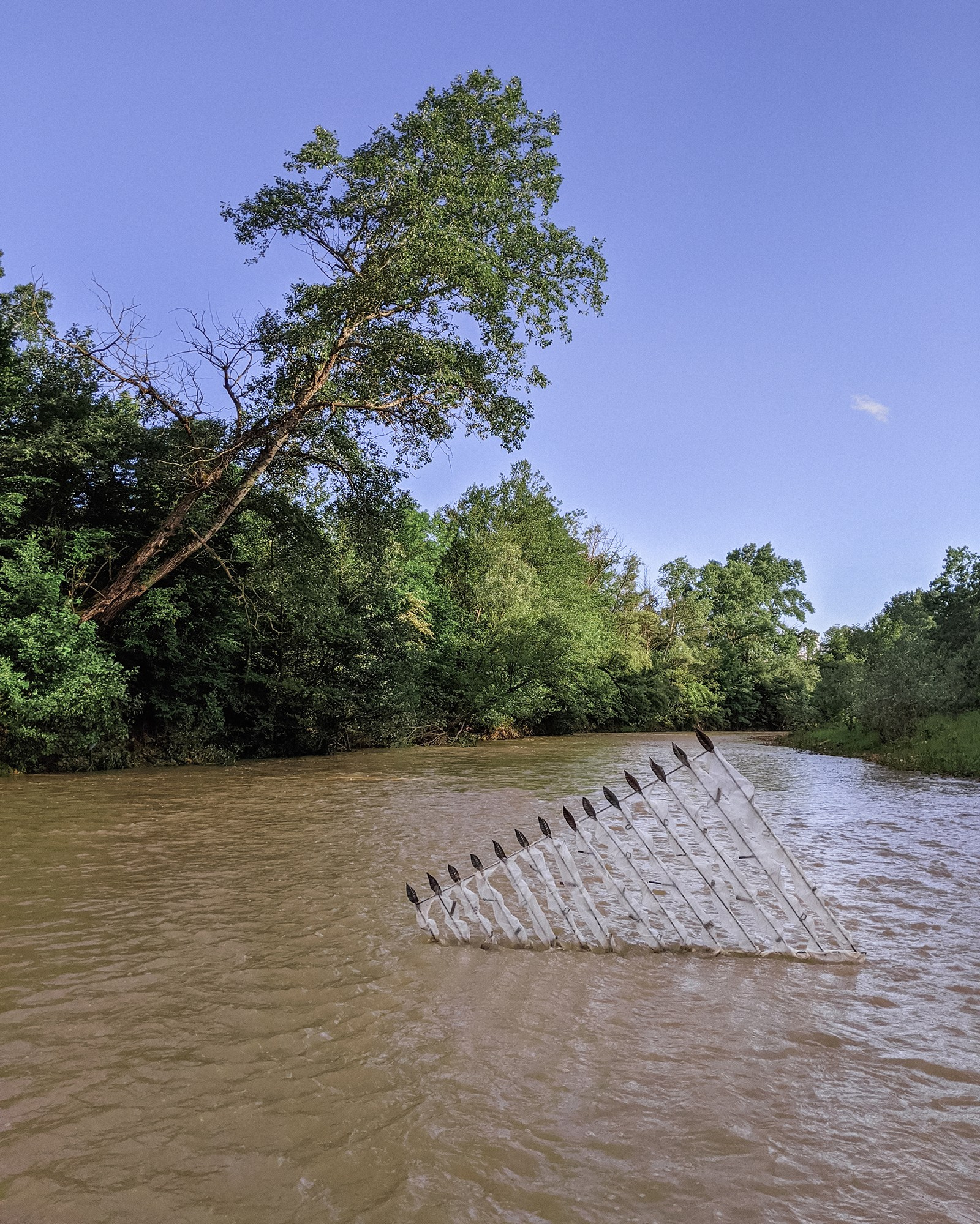 Яна Васильева: ''Любая неискренность очень легко считывается''