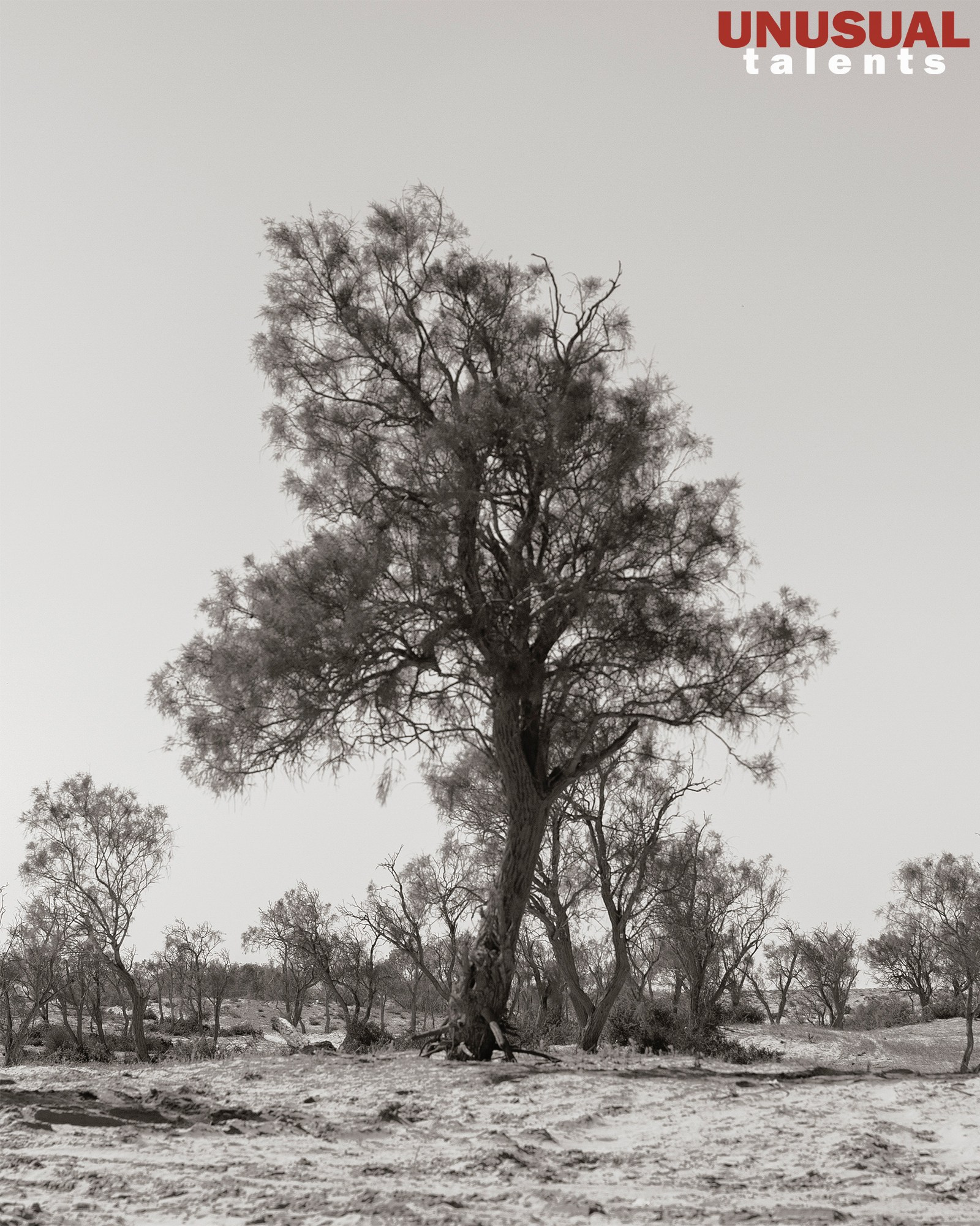 Anna Strelzov. UNUSUAL TALENT magazine