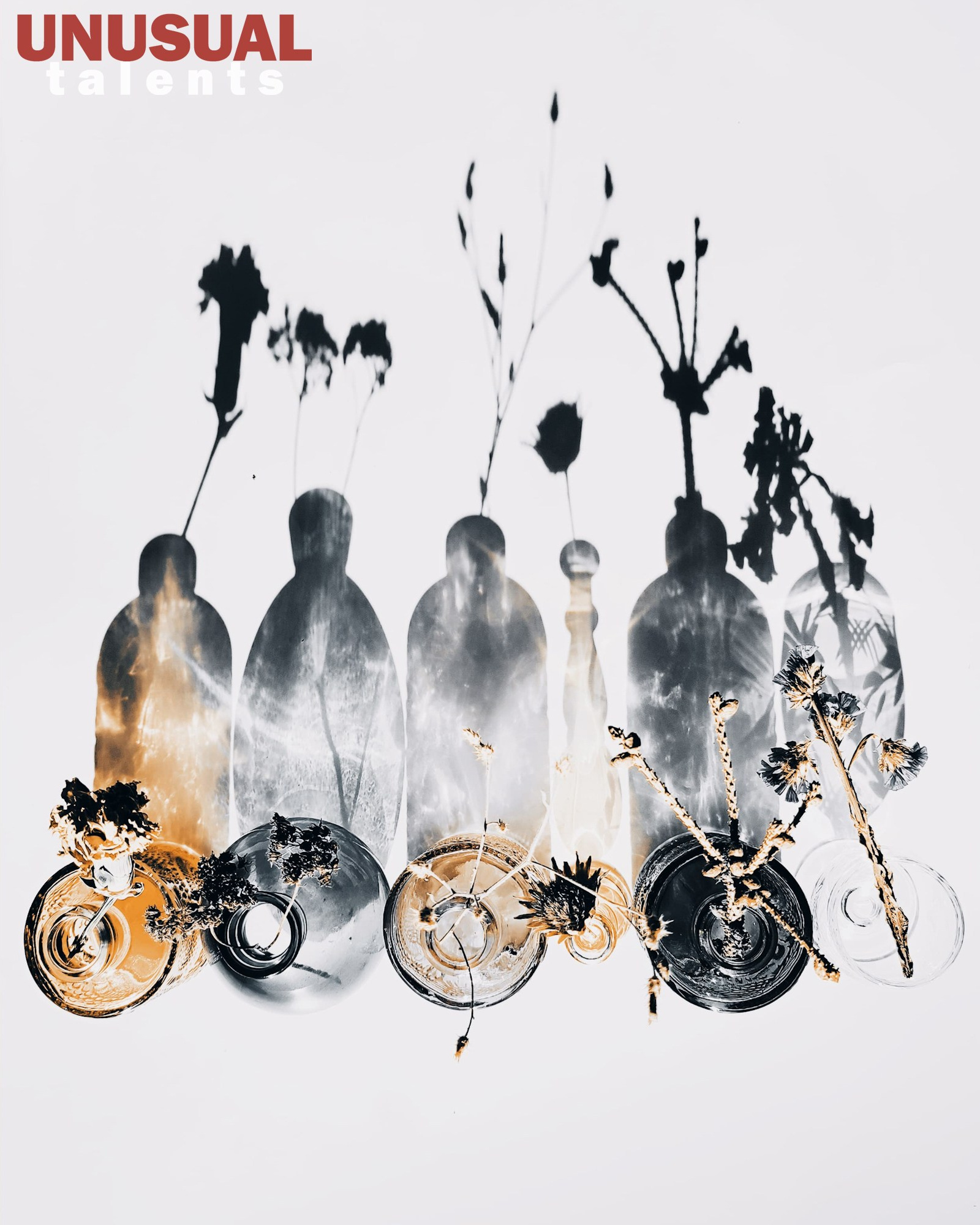 Irina Strokova. UNUSUAL TALENT magazine