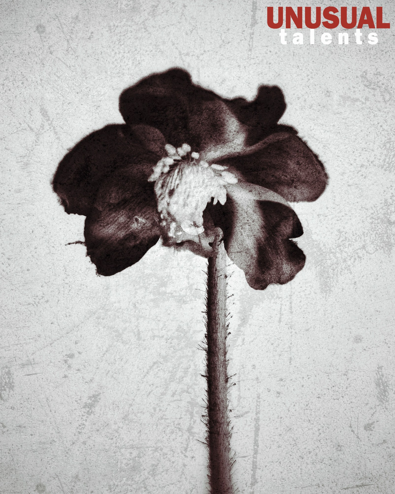 May 2026. UNUSUAL TALENT magazine