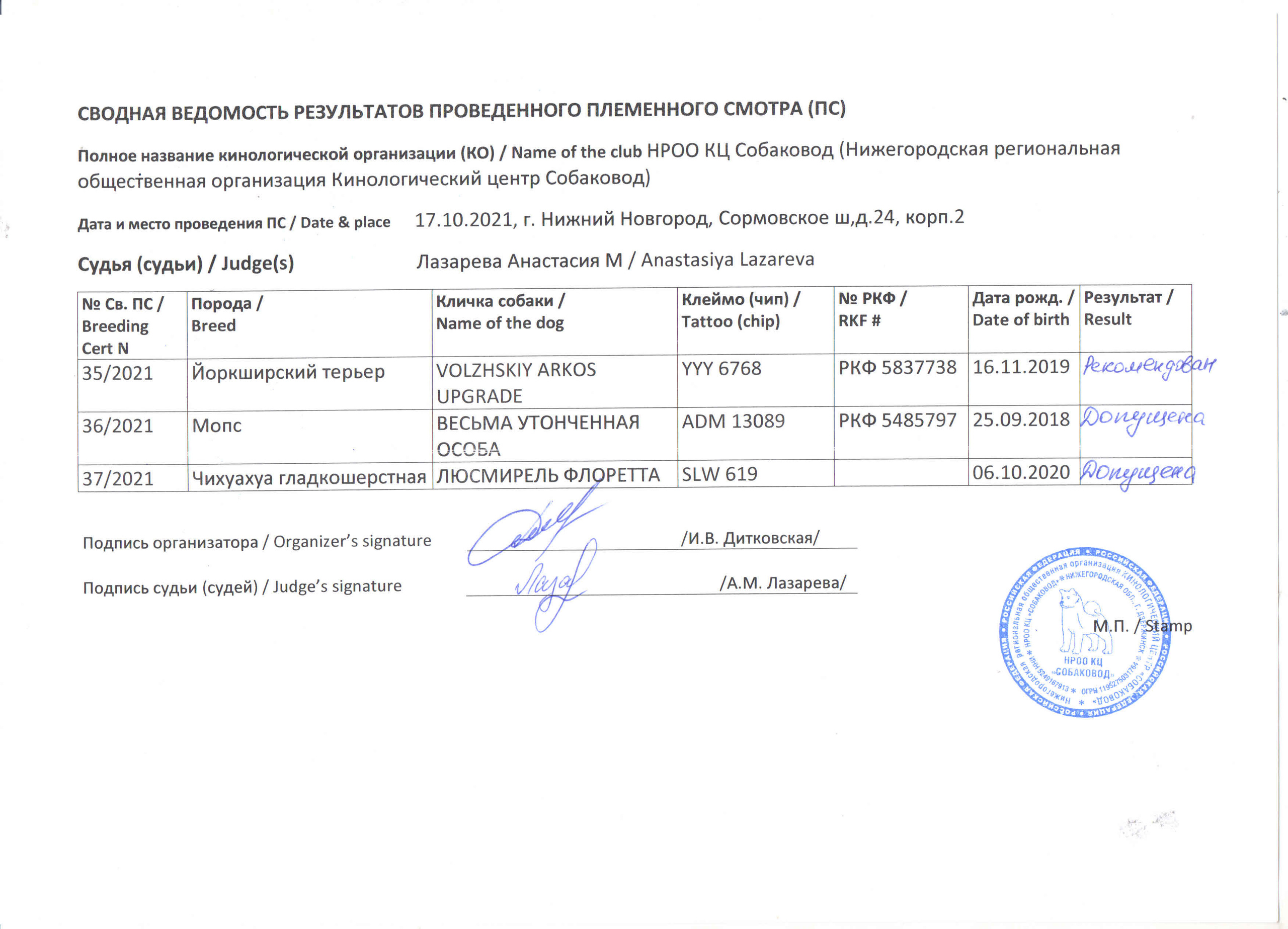 Племенной смотр 17.10.2021 г, судья РКФ/FCI — Анастасия  Лазарева. НРОО КЦ "Собаковод"