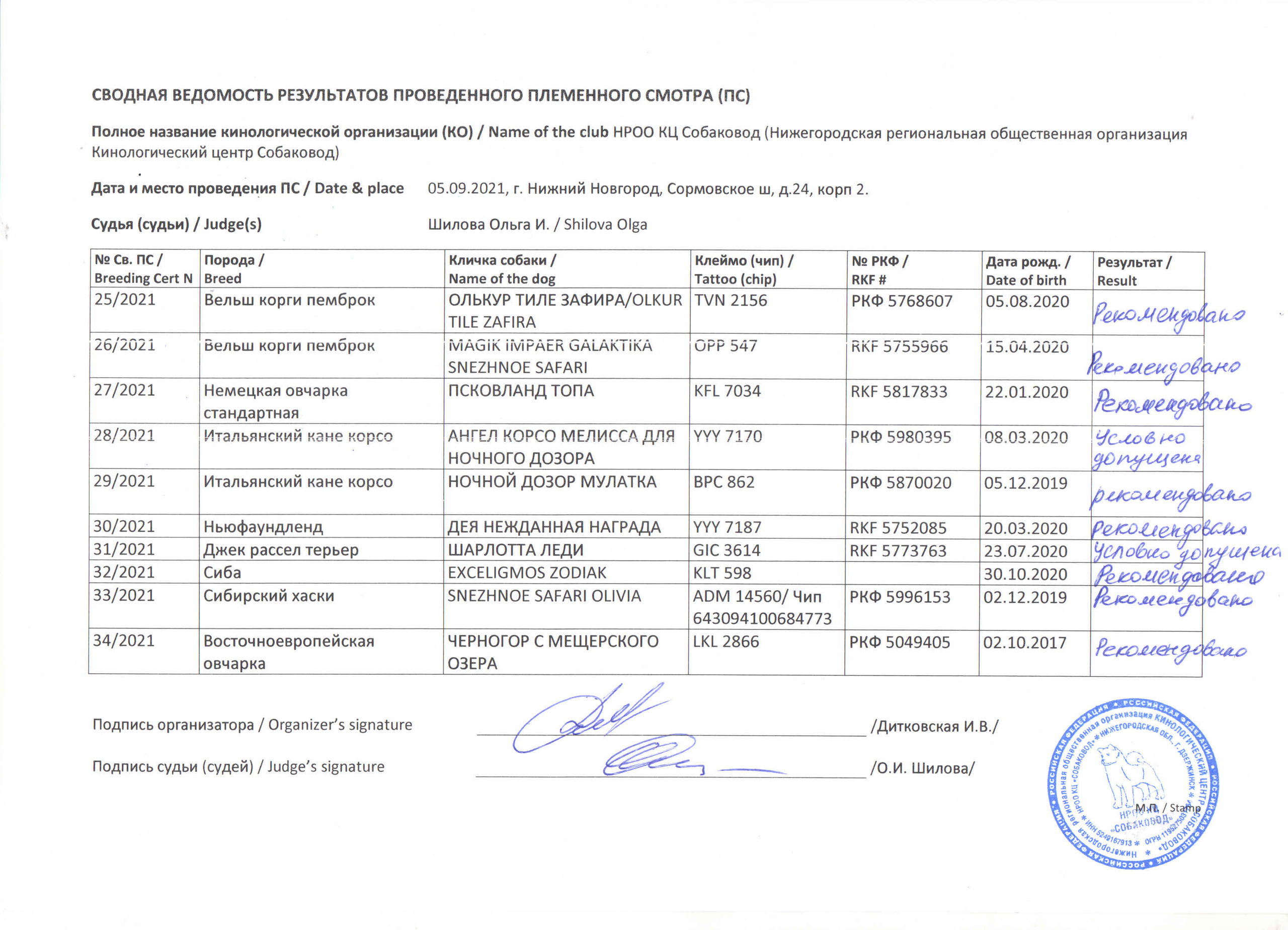 Племенной смотр 05 сентября 2021 г судья-эксперт РКФ Ольга Иосифовна Шилова. НРОО КЦ "Собаковод"